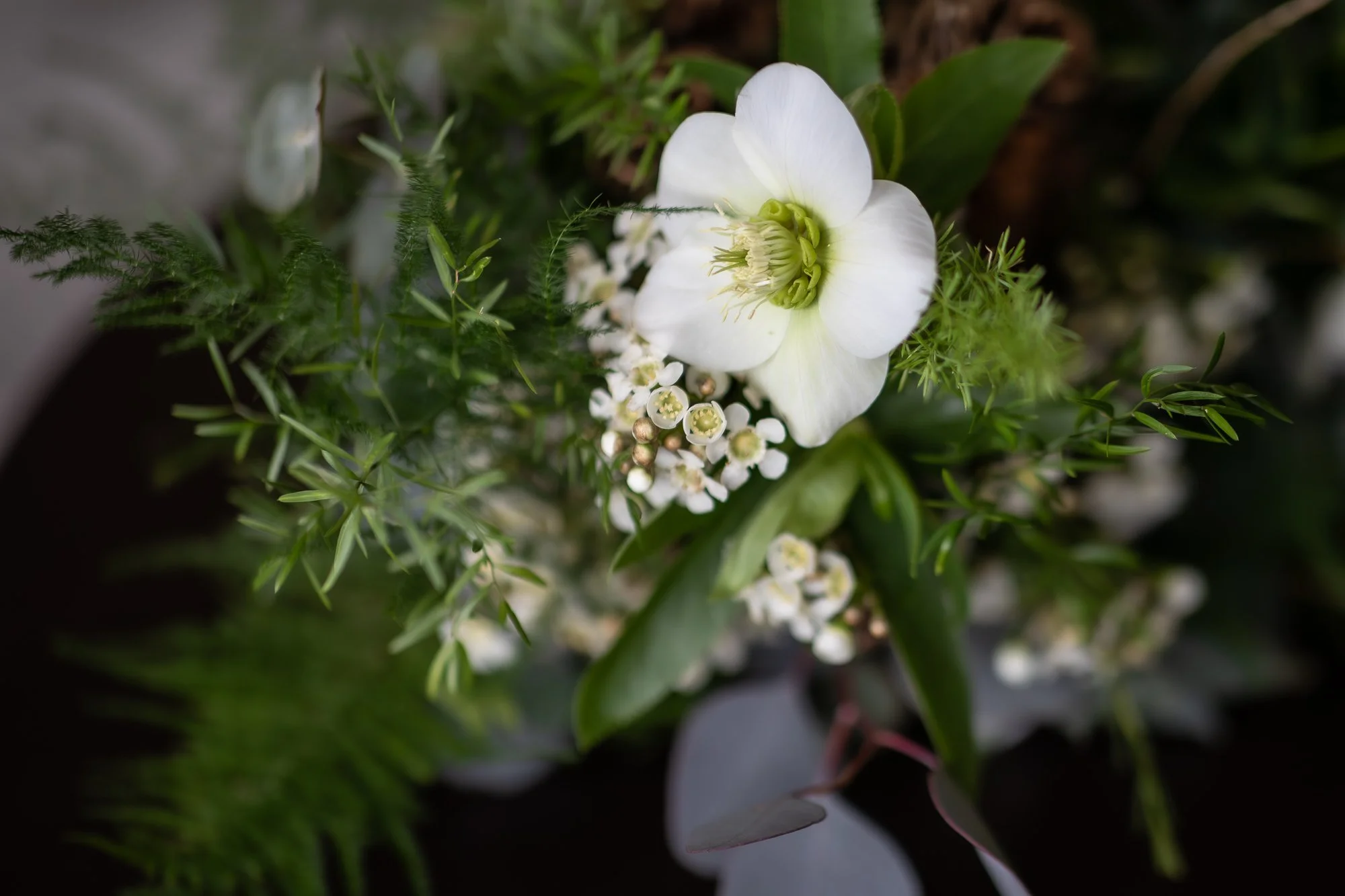 A bouquet of white flowers and green foliage, including a large white flower with a green center and small white blossom clusters
