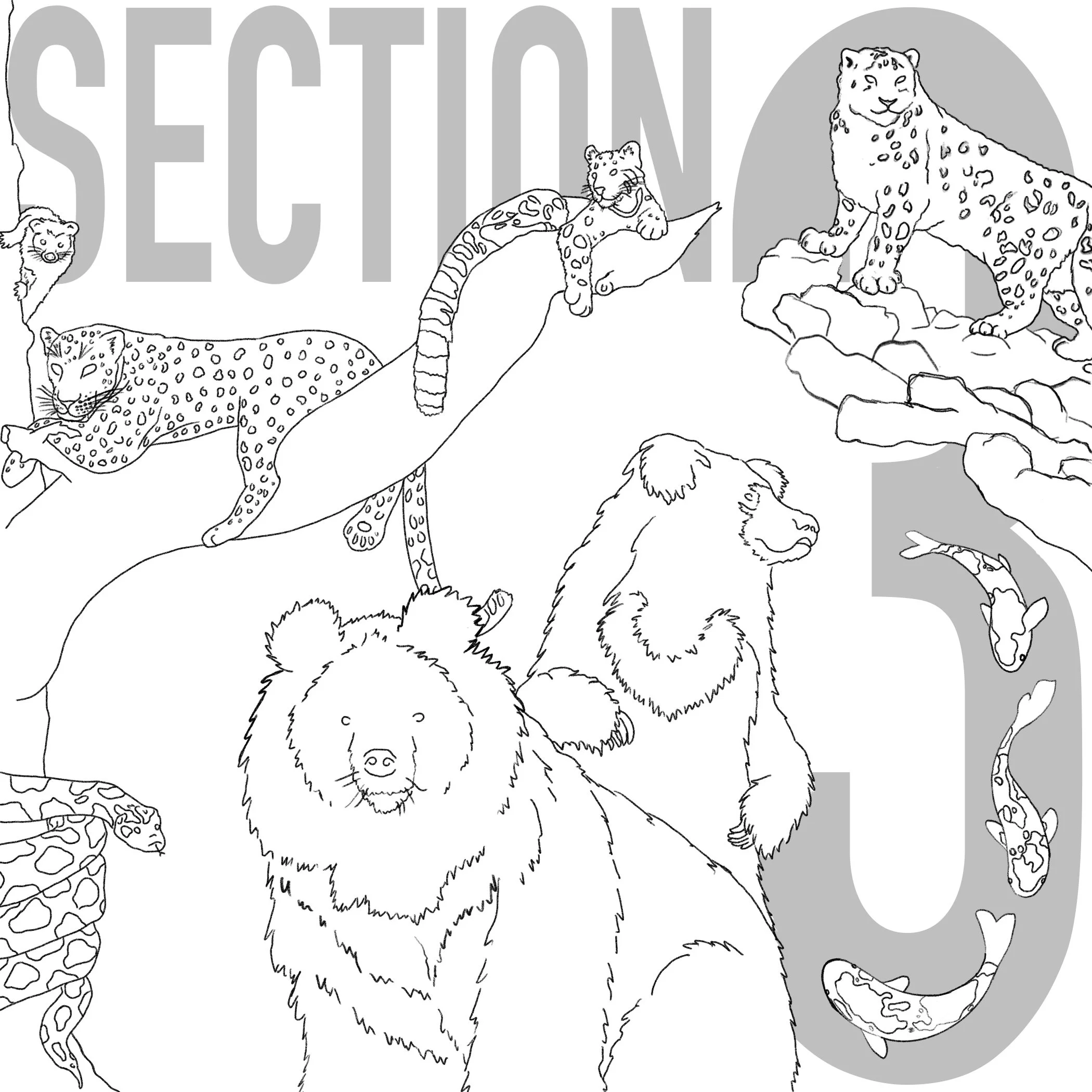Splash starring the main attractions for section 3 of Central Zoo.