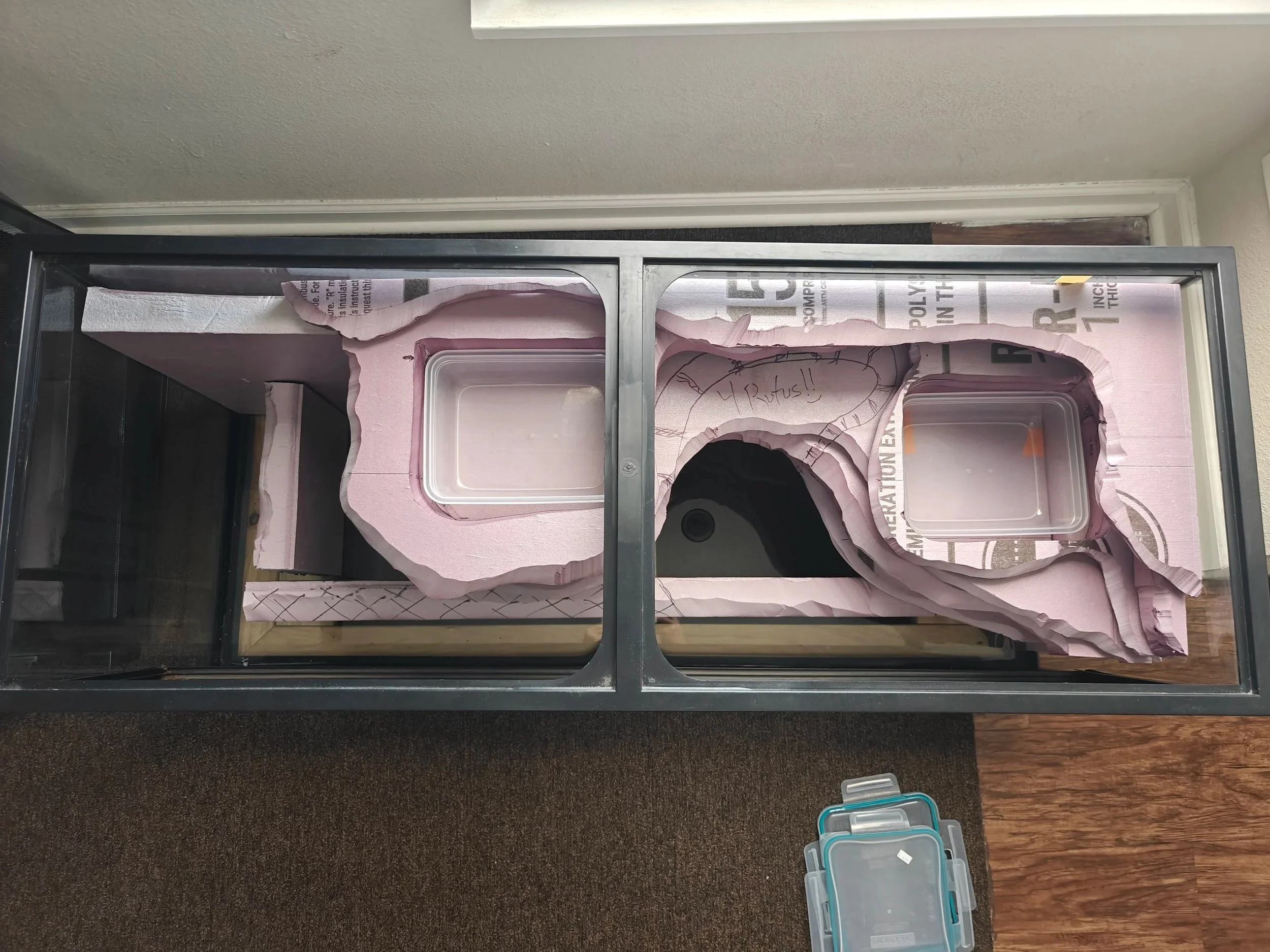 Side view of current enclosure state, showing two hidden cave structures.