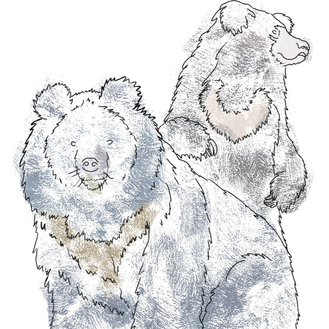 Coloring style.