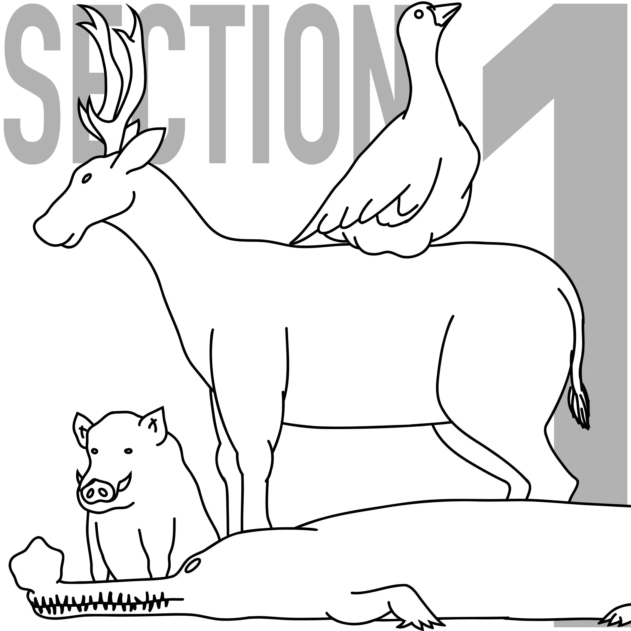 Splash starring the main attractions for section 1 of Central Zoo.