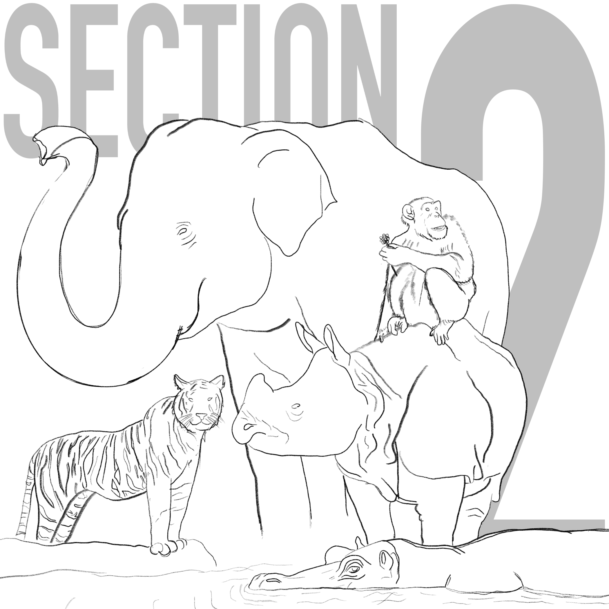 Splash starring the main attractions for section 2 of Central Zoo.