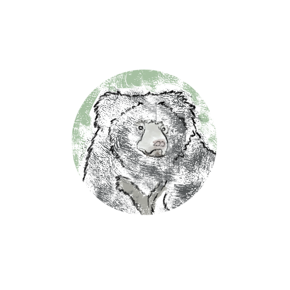 Sloth bear colored.