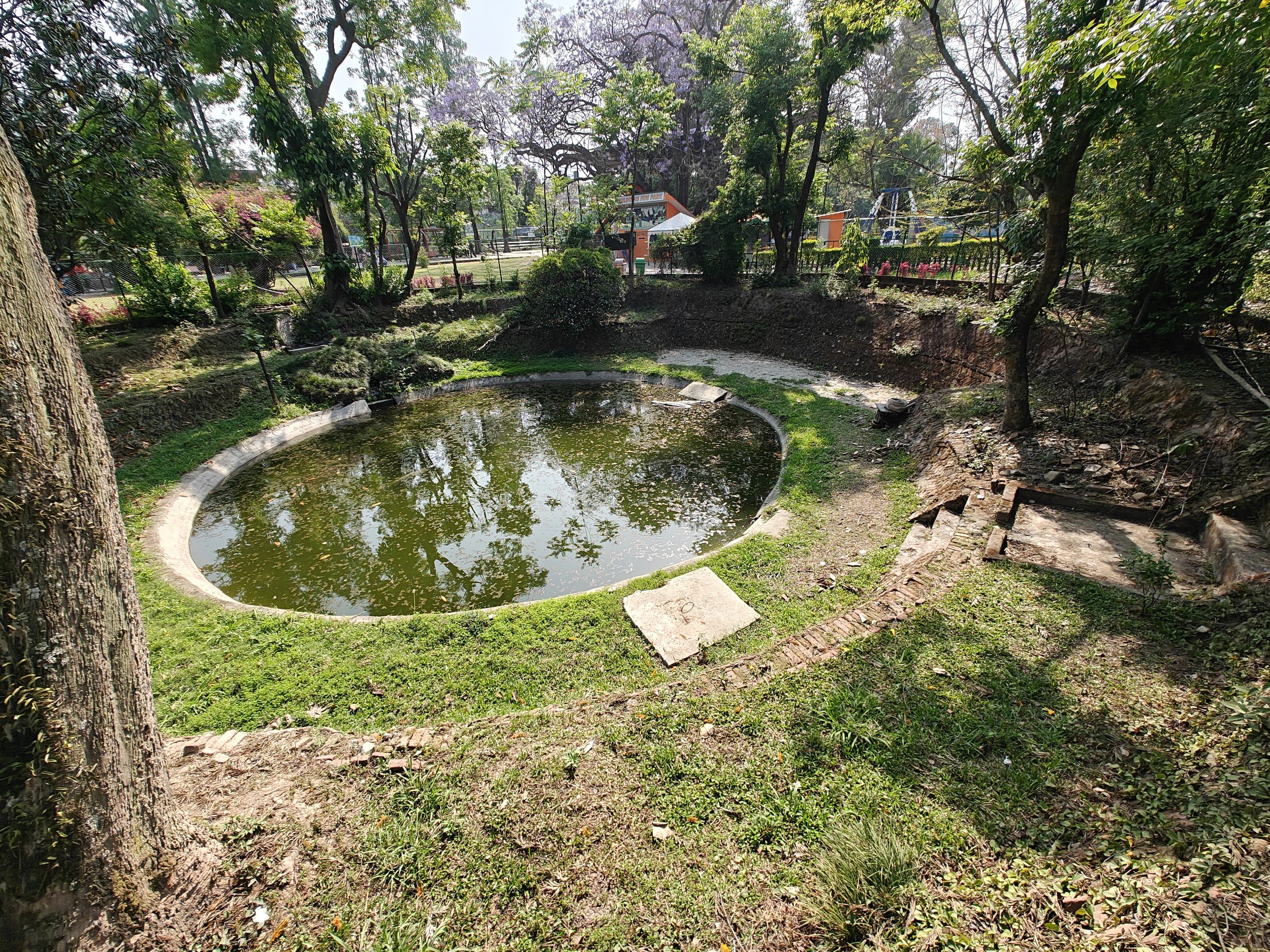 Current gharial enclosure.