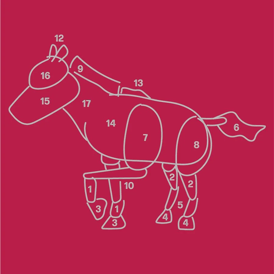 Horse-03.jpg