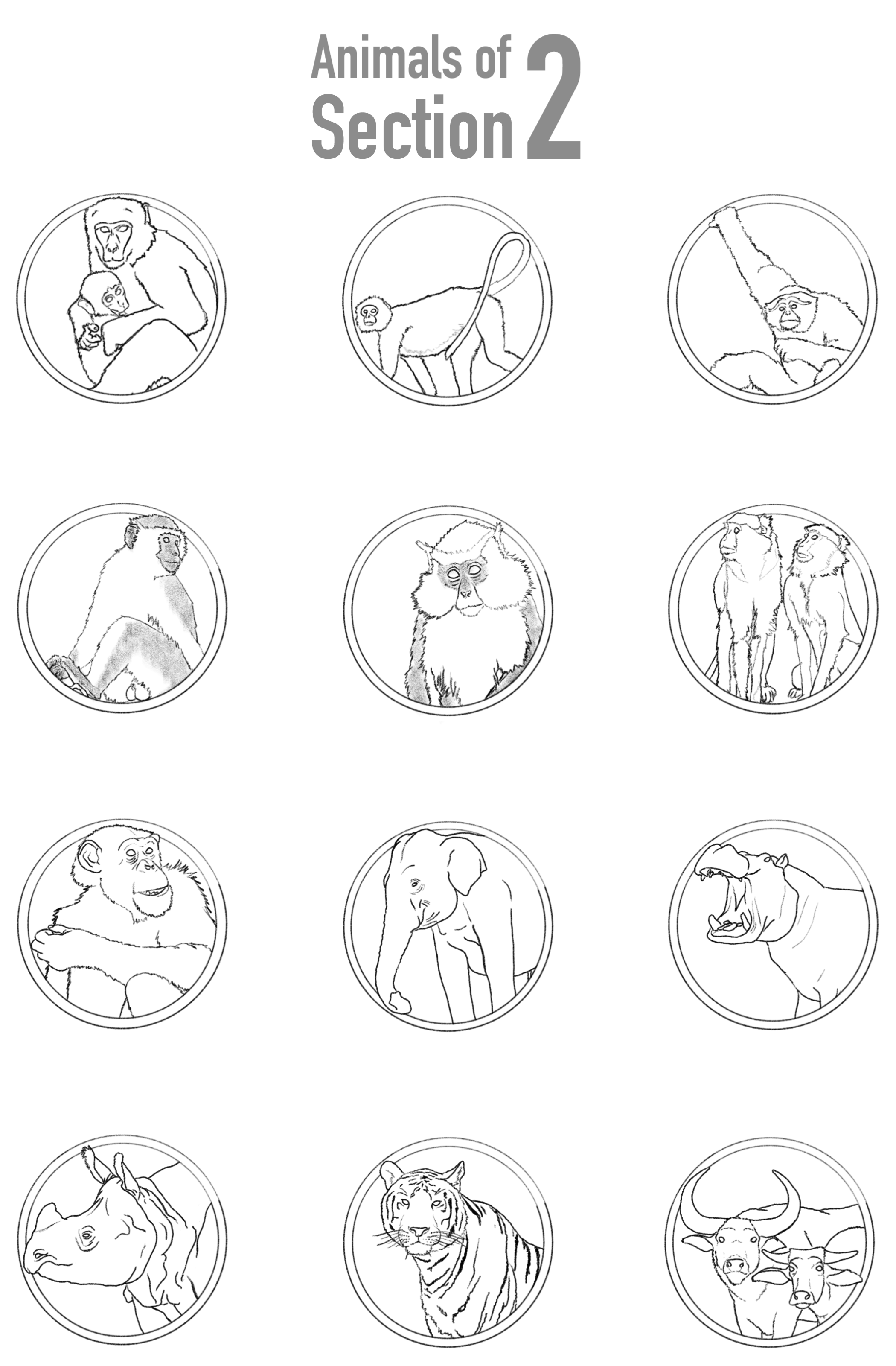 All animal species, at the time, of section 2. Could be reused for merch and informational materials.
