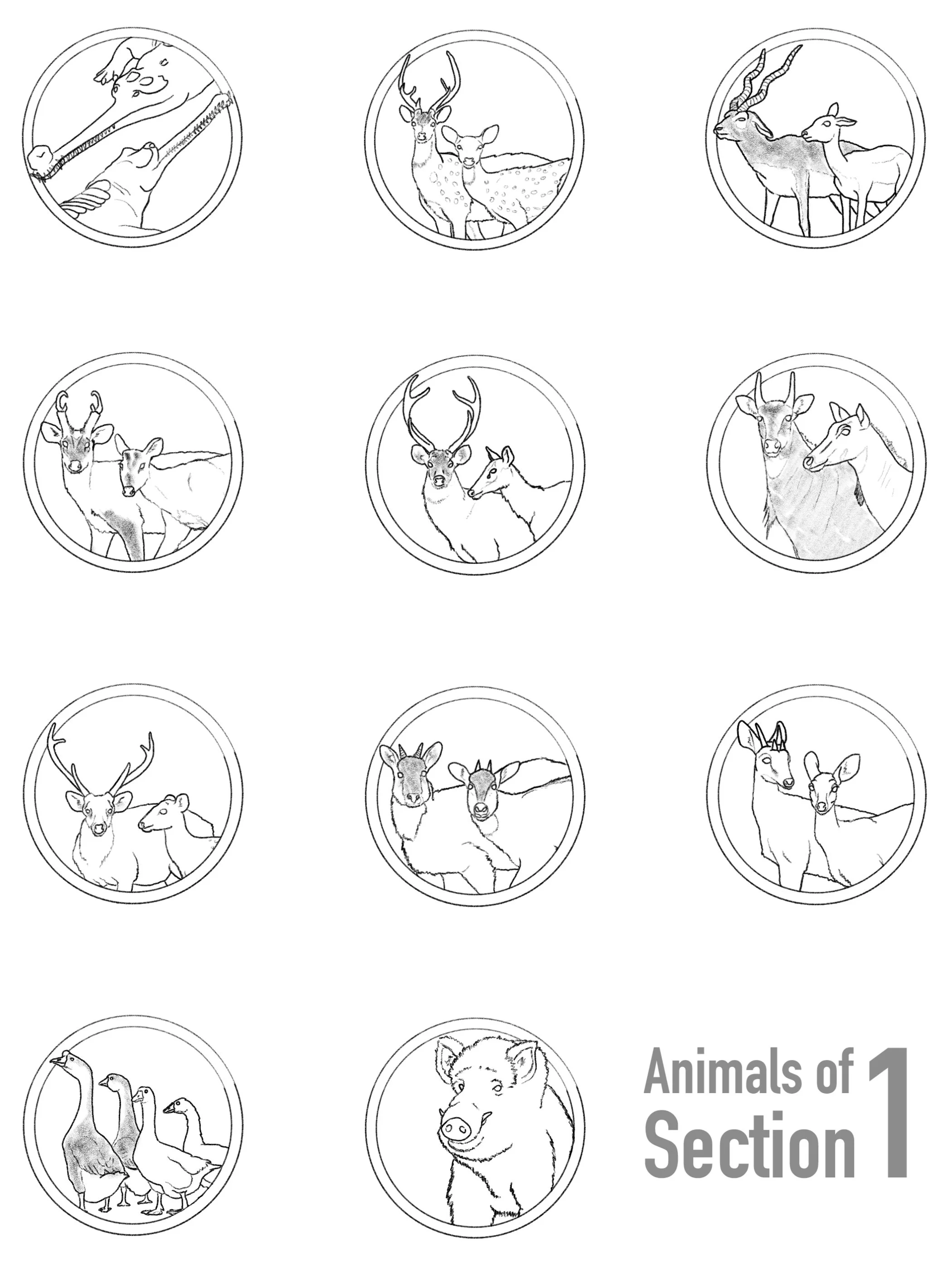 All animal species, at the time, of section 1. Could be reused for merch and informational materials.