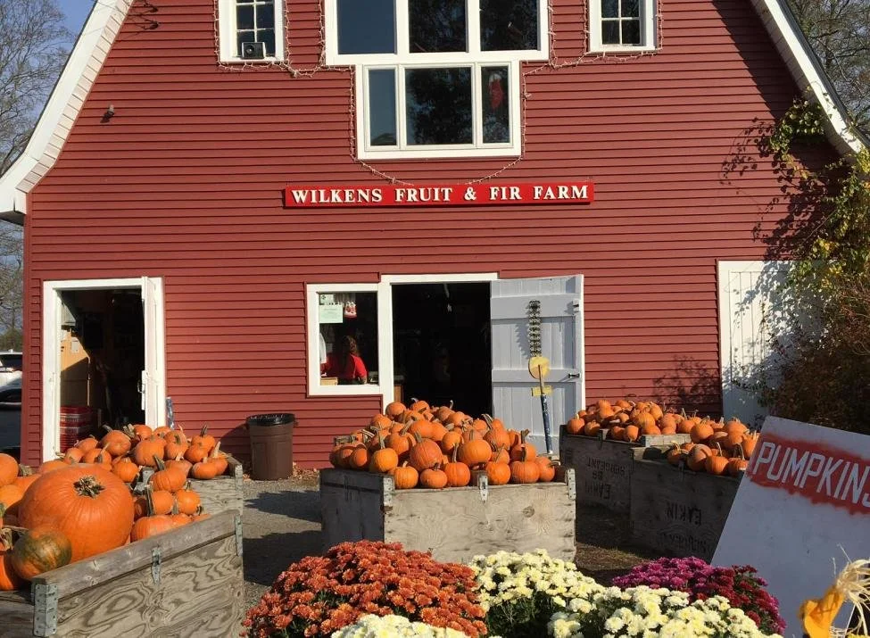Field Trip: Wilkin's Fruit and Fur Farm
