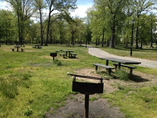 Field Trip: Pelham Park Picnic