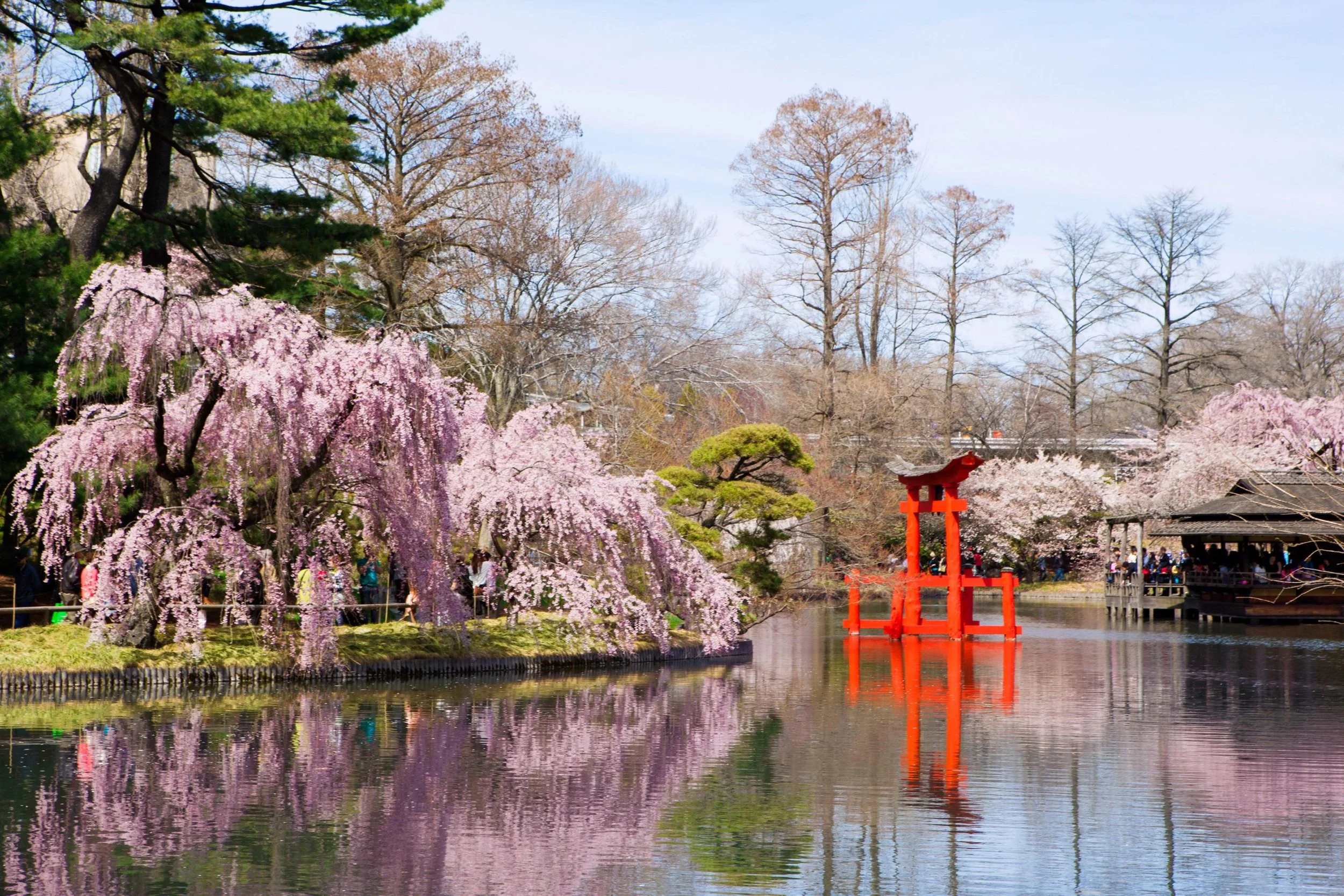 Field Trip at Brooklyn Botanic Garden