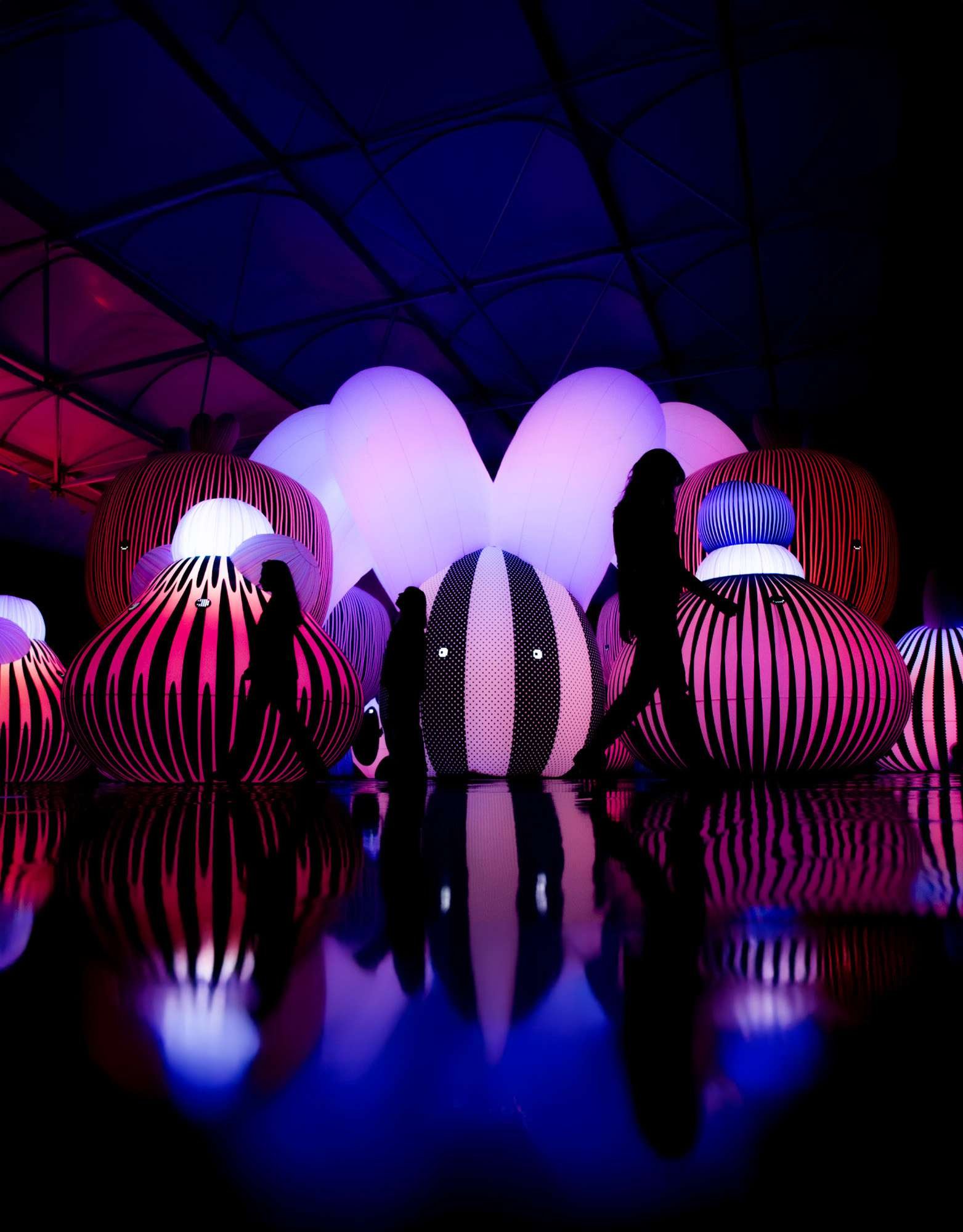 Field Trip at Balloon Museum - Daydream