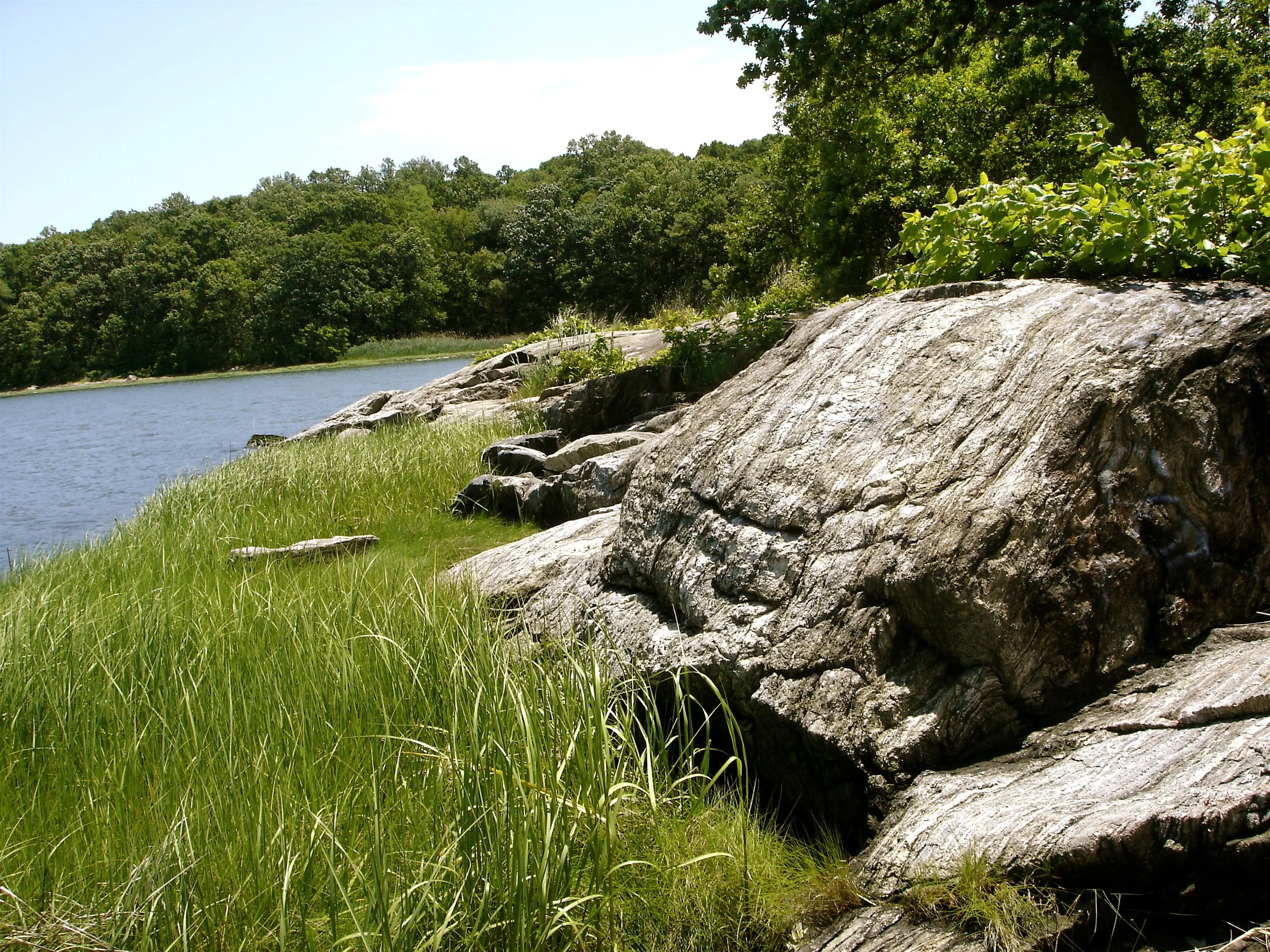 Field Trip: Pelham Bay Park