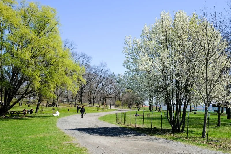 Field Trip: Pelham Bay Park