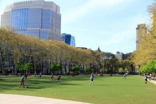   Wellness at Cadman Plaza Park; Literacy at Brooklyn Heights Library