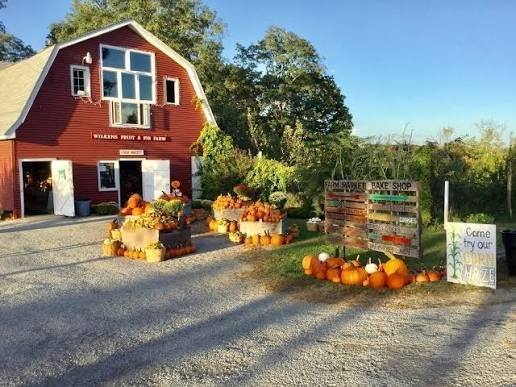 Field Trip: Wilkens Farm