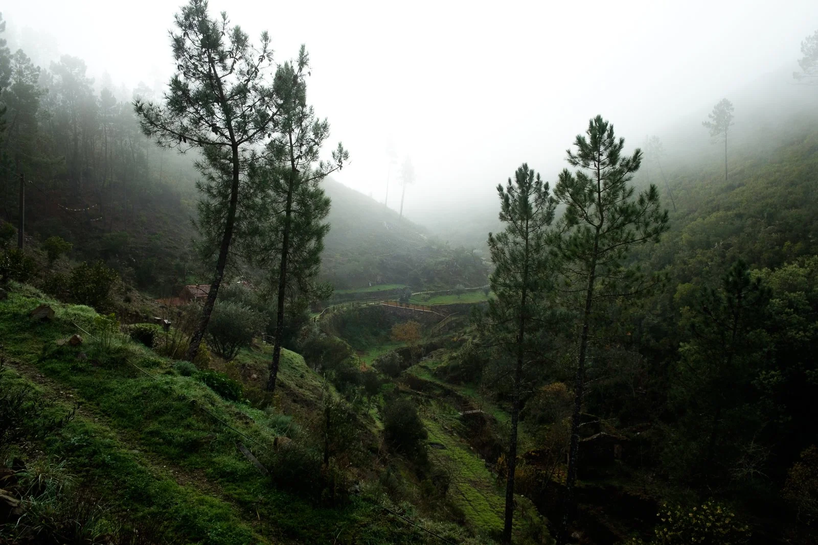 Joshua Winter -DSCF6254.jpg