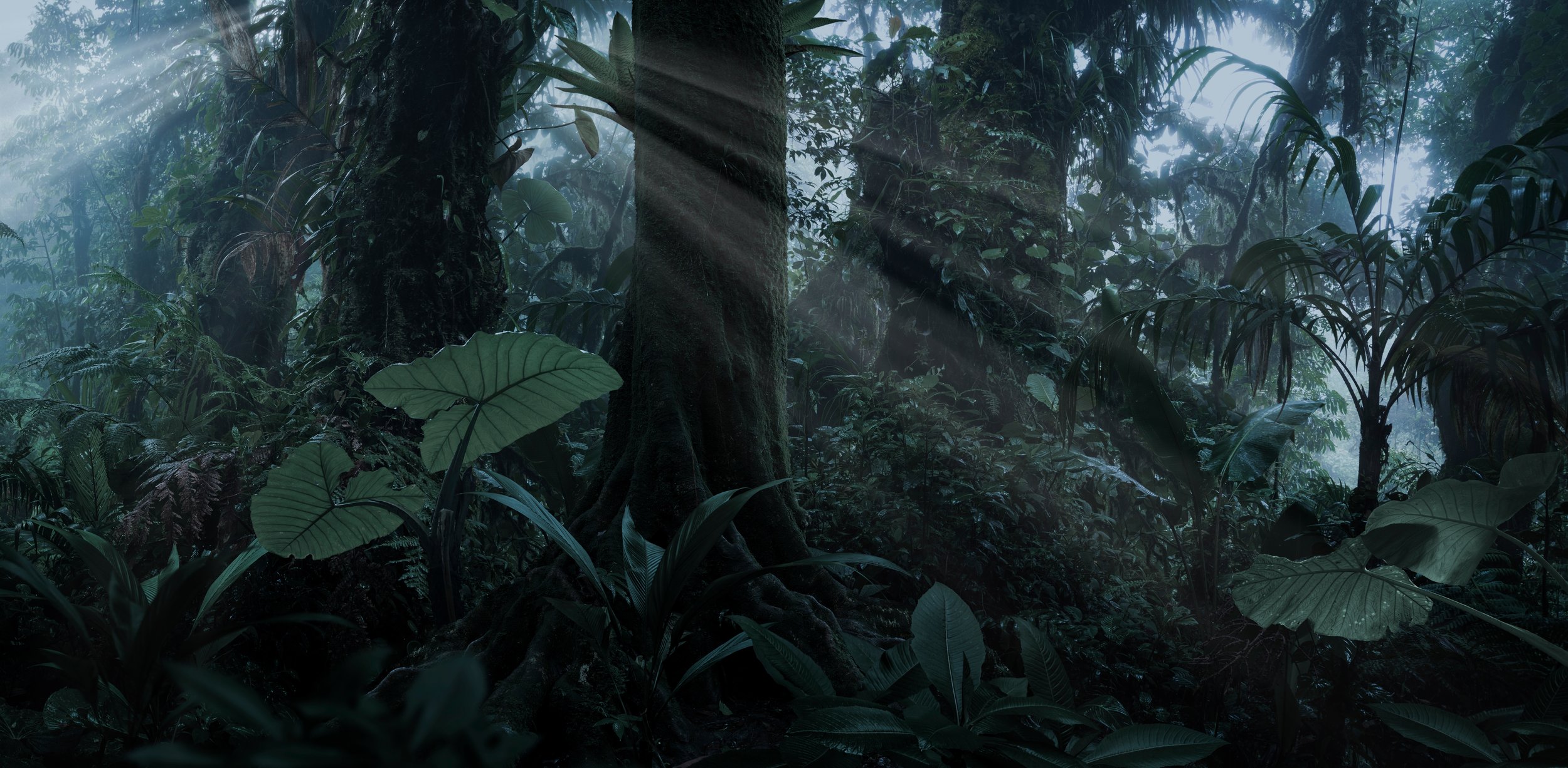 AdobeStock_517255866.jpeg