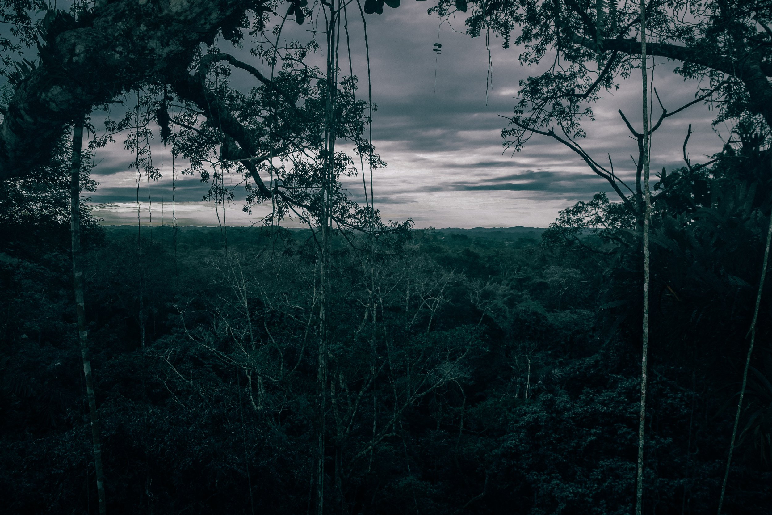 AdobeStock_434759455.jpeg