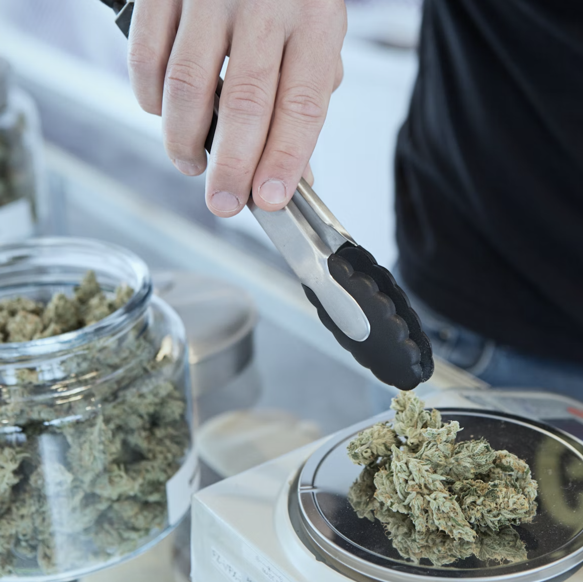 The Best Strains for New Cannabis Users