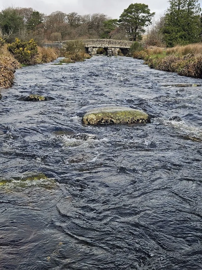 20230326_113402.jpg