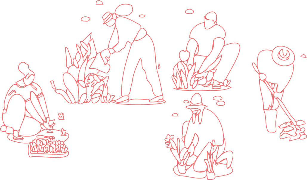 Asset 30@2x.png