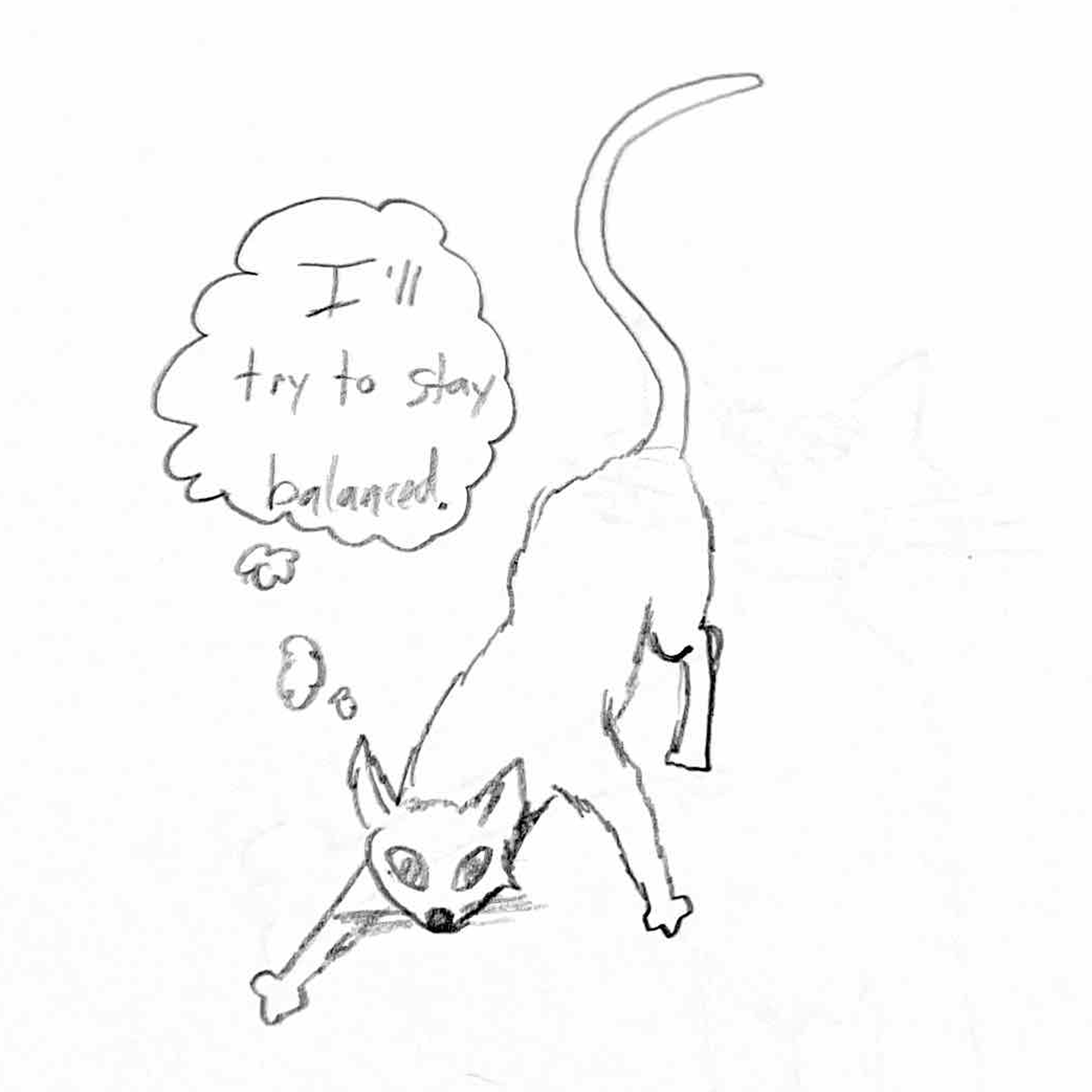 illustration of a wobbly cat trying to walk