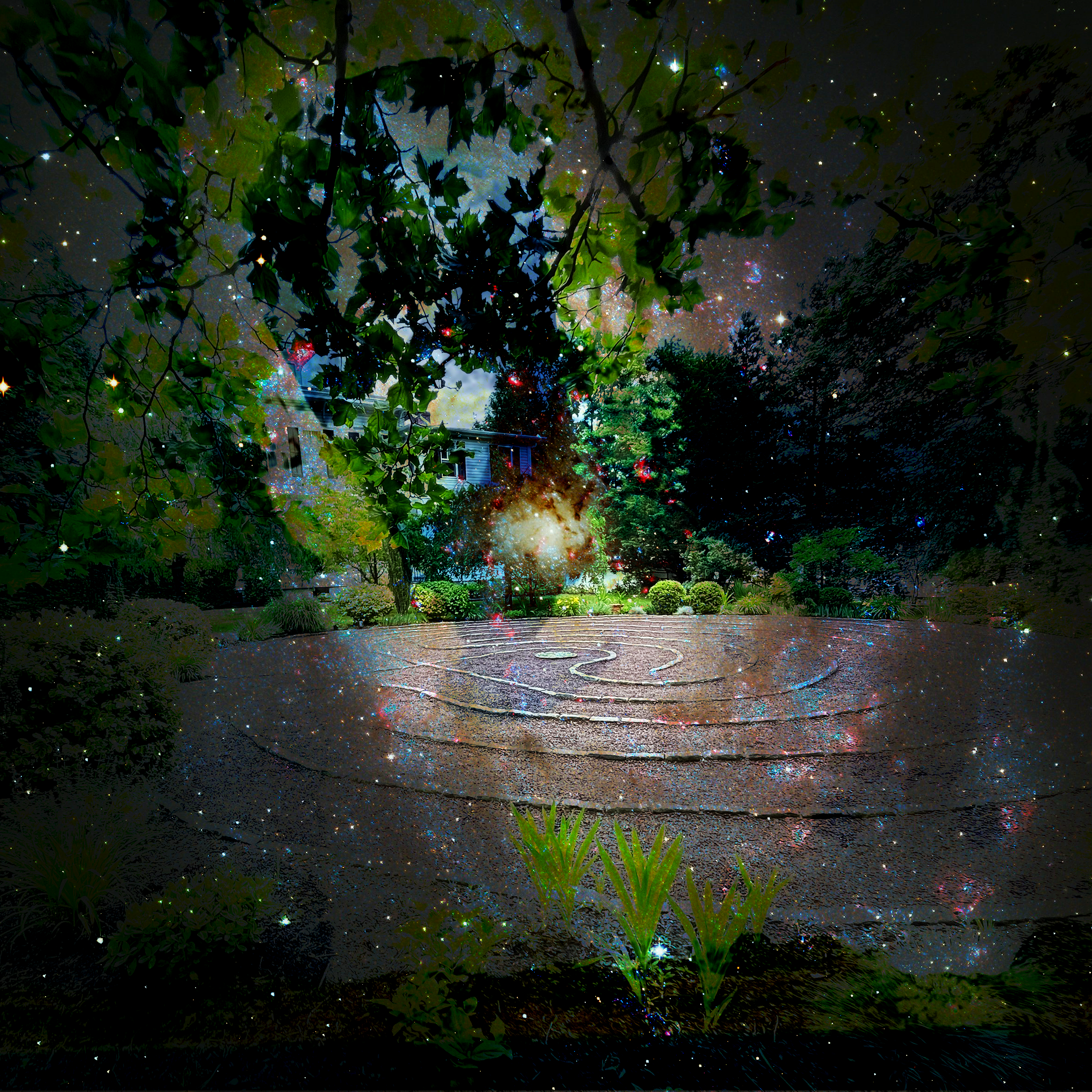 labyrinth surrounded by trees and stars