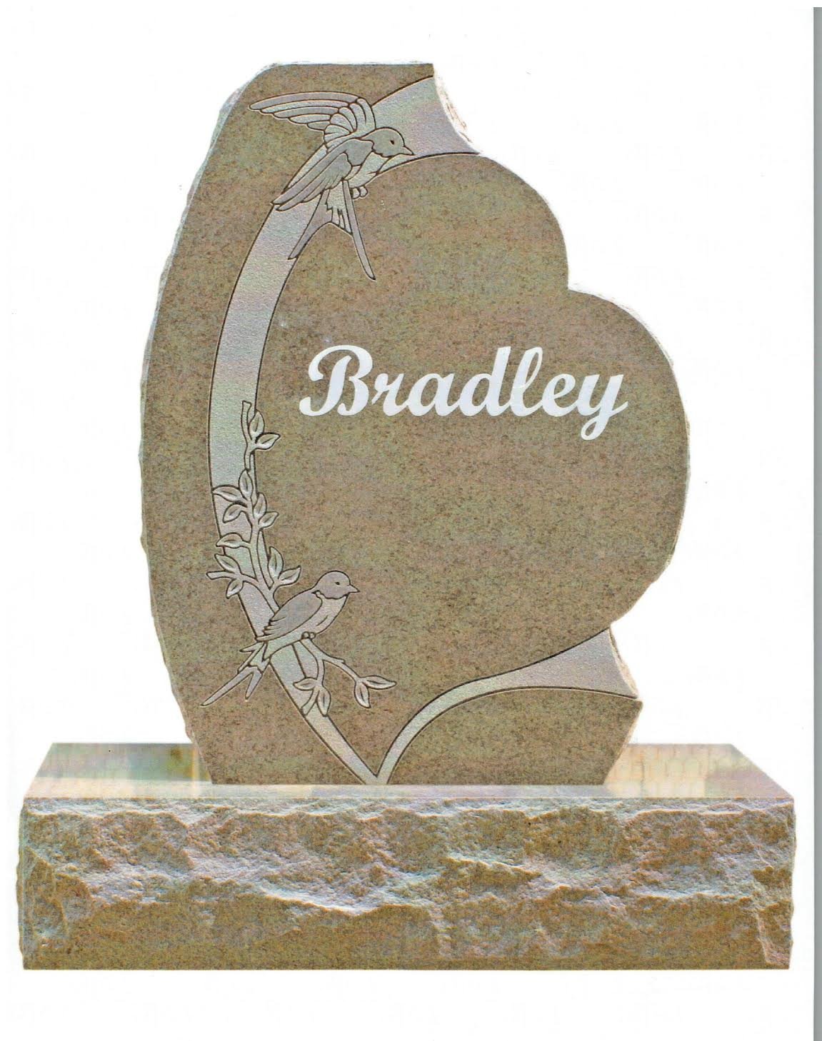 Bradley.jpeg