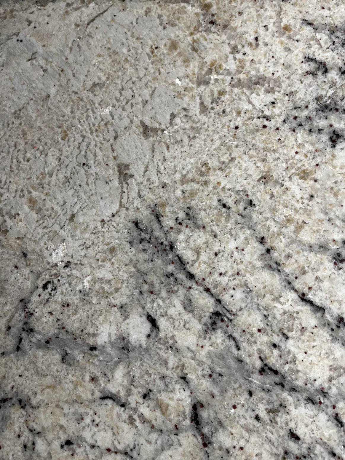 Screen Shot 2022-11-28 at 10.59.06 AM.png