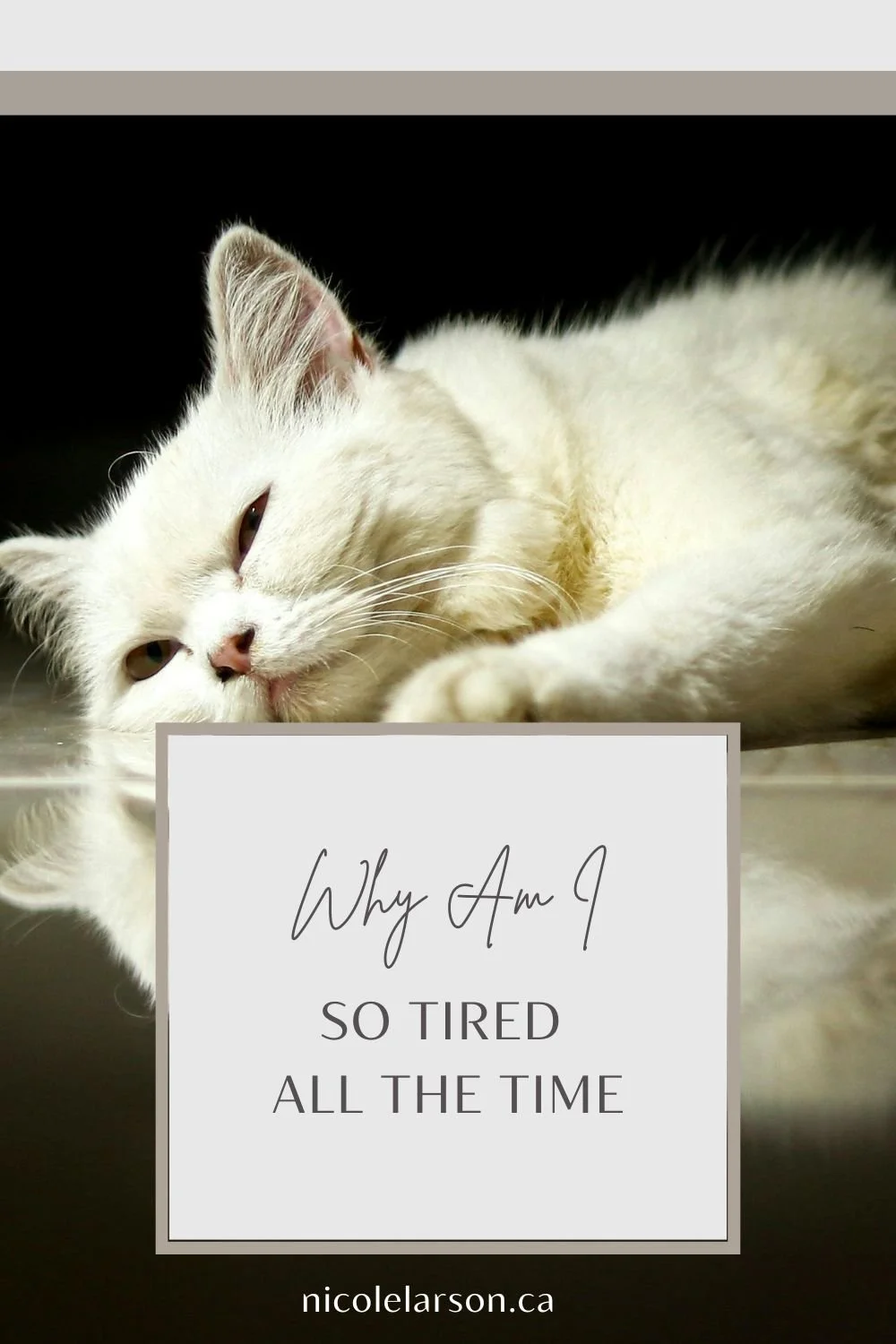 Why Am I So Tired All the Time? A Nervous System Explanation