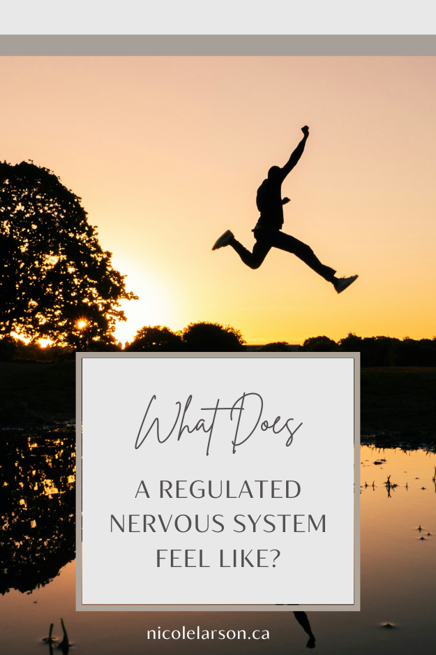 What Does a Regulated Nervous System Actually Feel Like? 