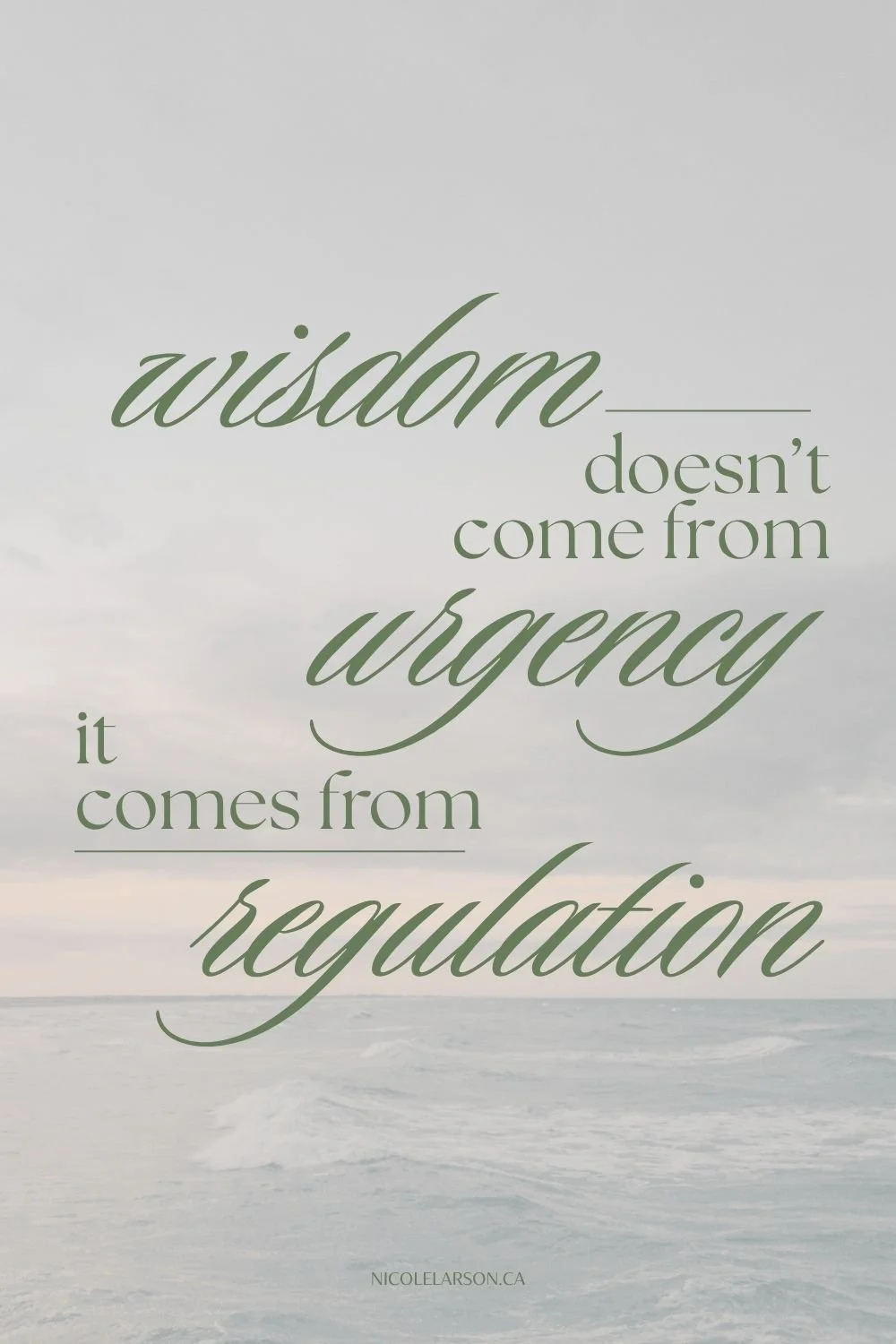 the words, "wisdom doesn;t come from urgency, it comes from regulation" on the faded background of the sea.