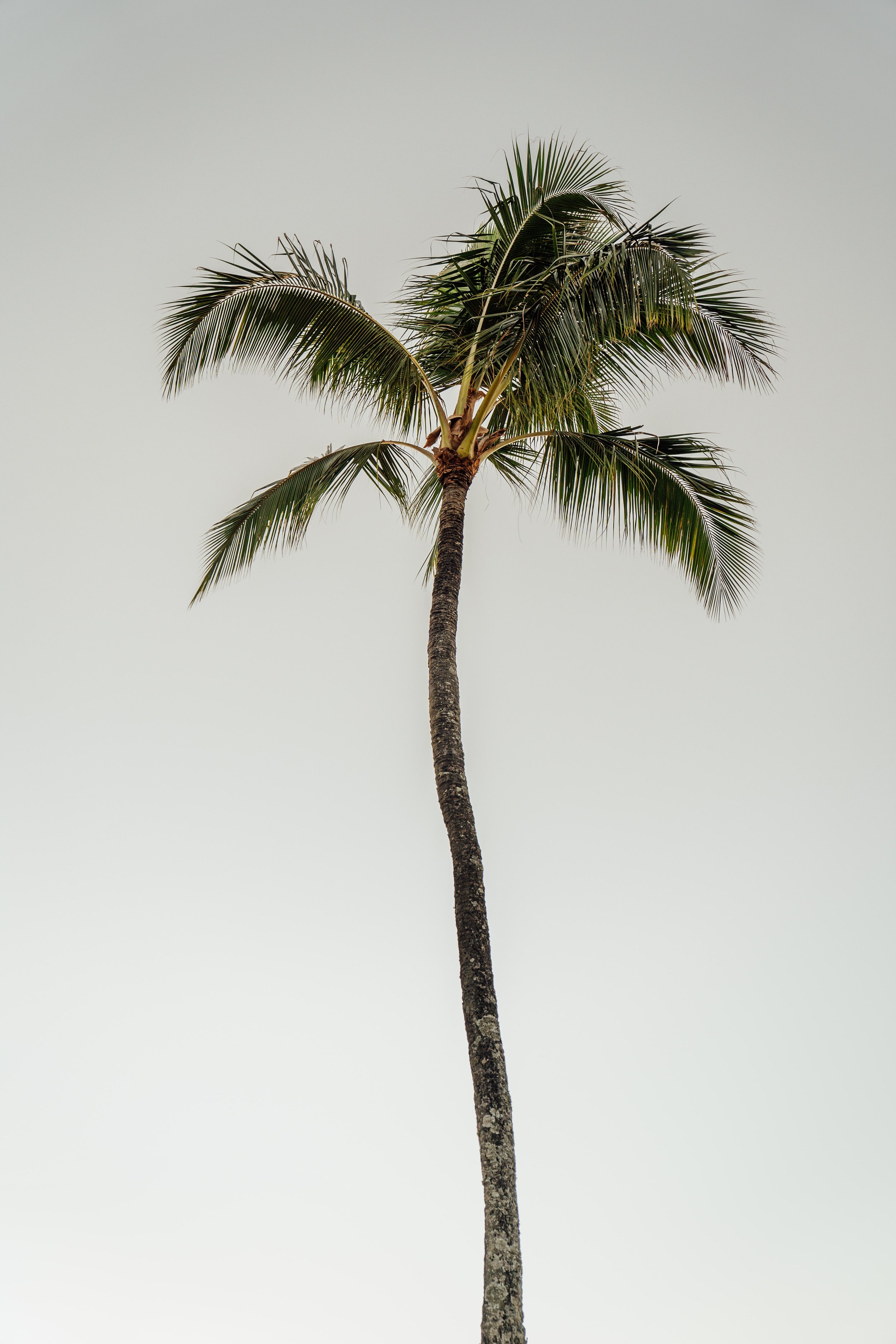 josh-miller-lKdrxnoymxo-unsplash.jpeg