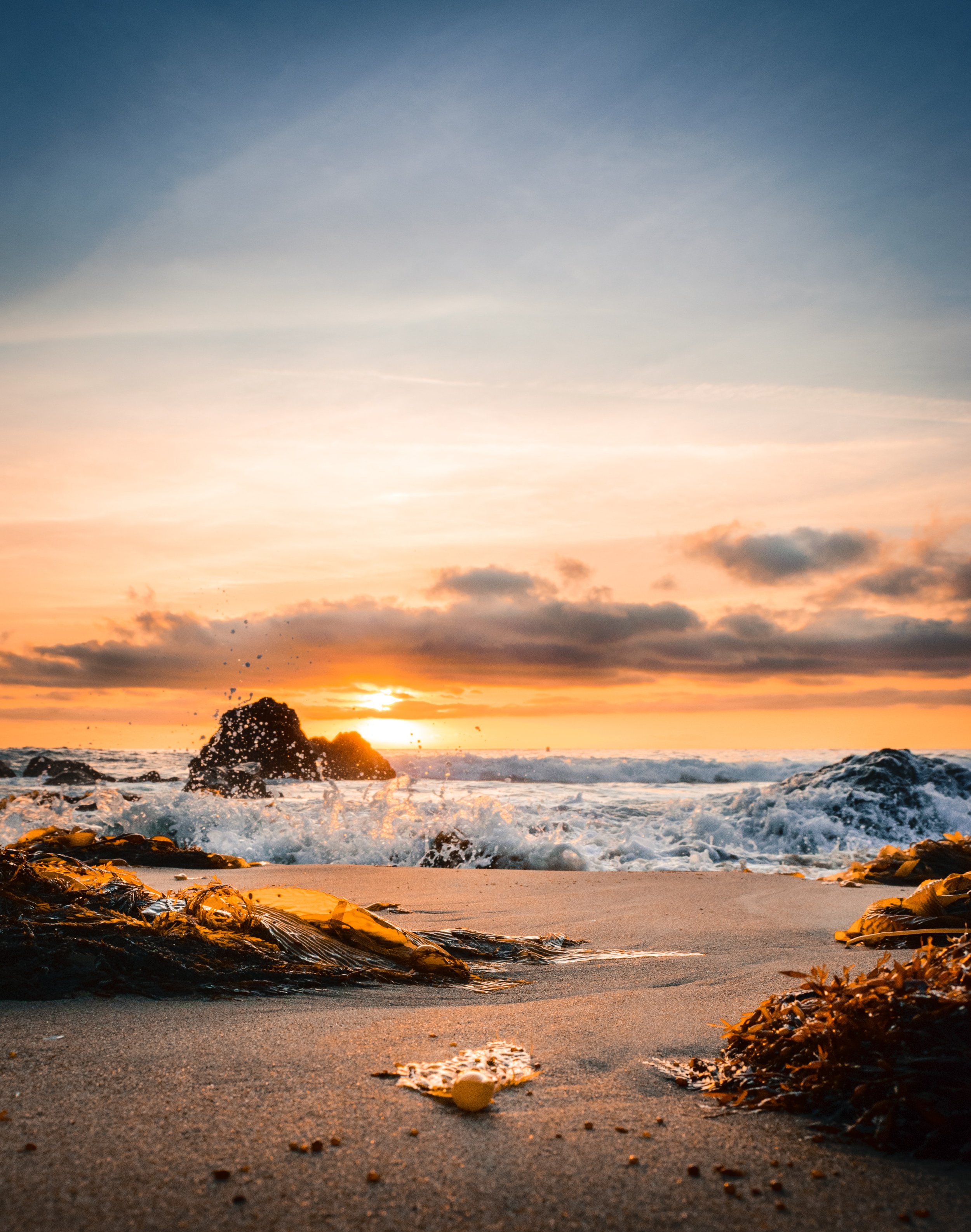 shea-rouda-Ete0zMKPWys-unsplash.jpeg