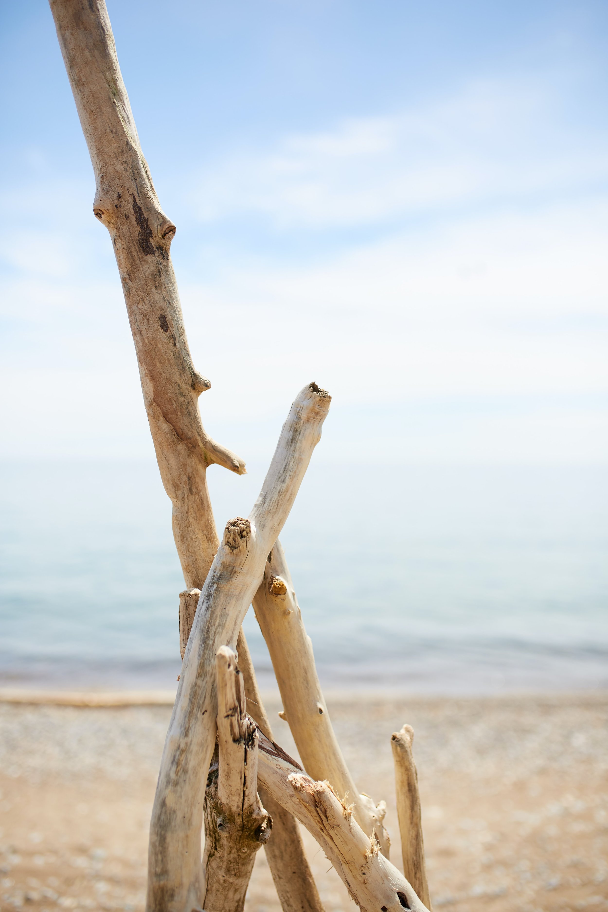 mathew-schwartz-oPt8w5T8Hy8-unsplash.jpeg
