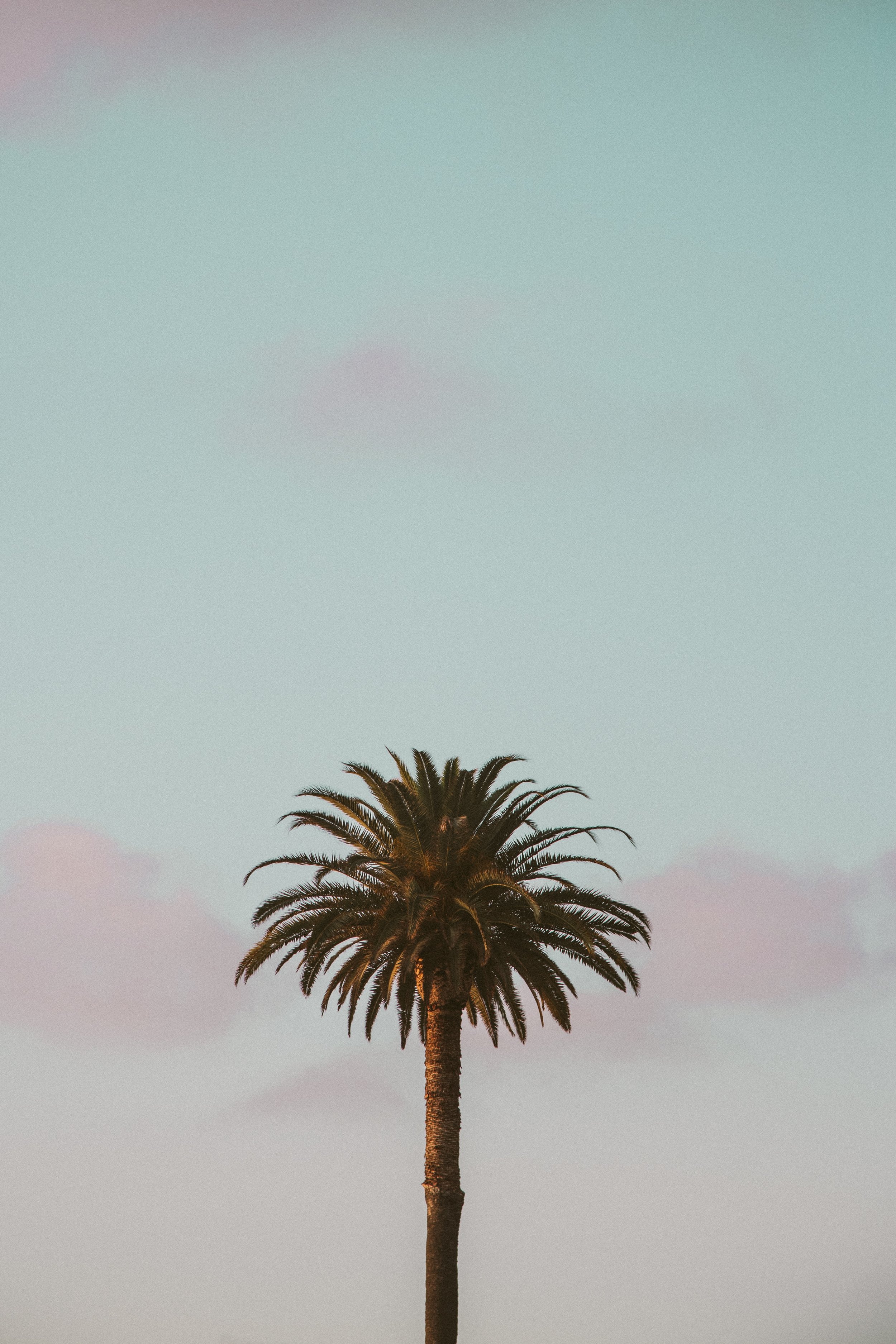 gustavo-zambelli-PuQO-7M0VpE-unsplash.jpeg
