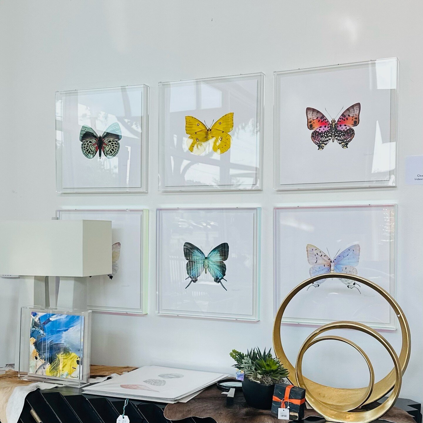 Winged wonders 🦋 These butterfly prints bring such a beautiful touch of nature into any space!! 

#butterflyprints #homedecor #scarletreagan #dallasartist #kristikennimer #shopdallas #shoplocal #shoplocaldallas #kennimersart #scarletreagangallery #s