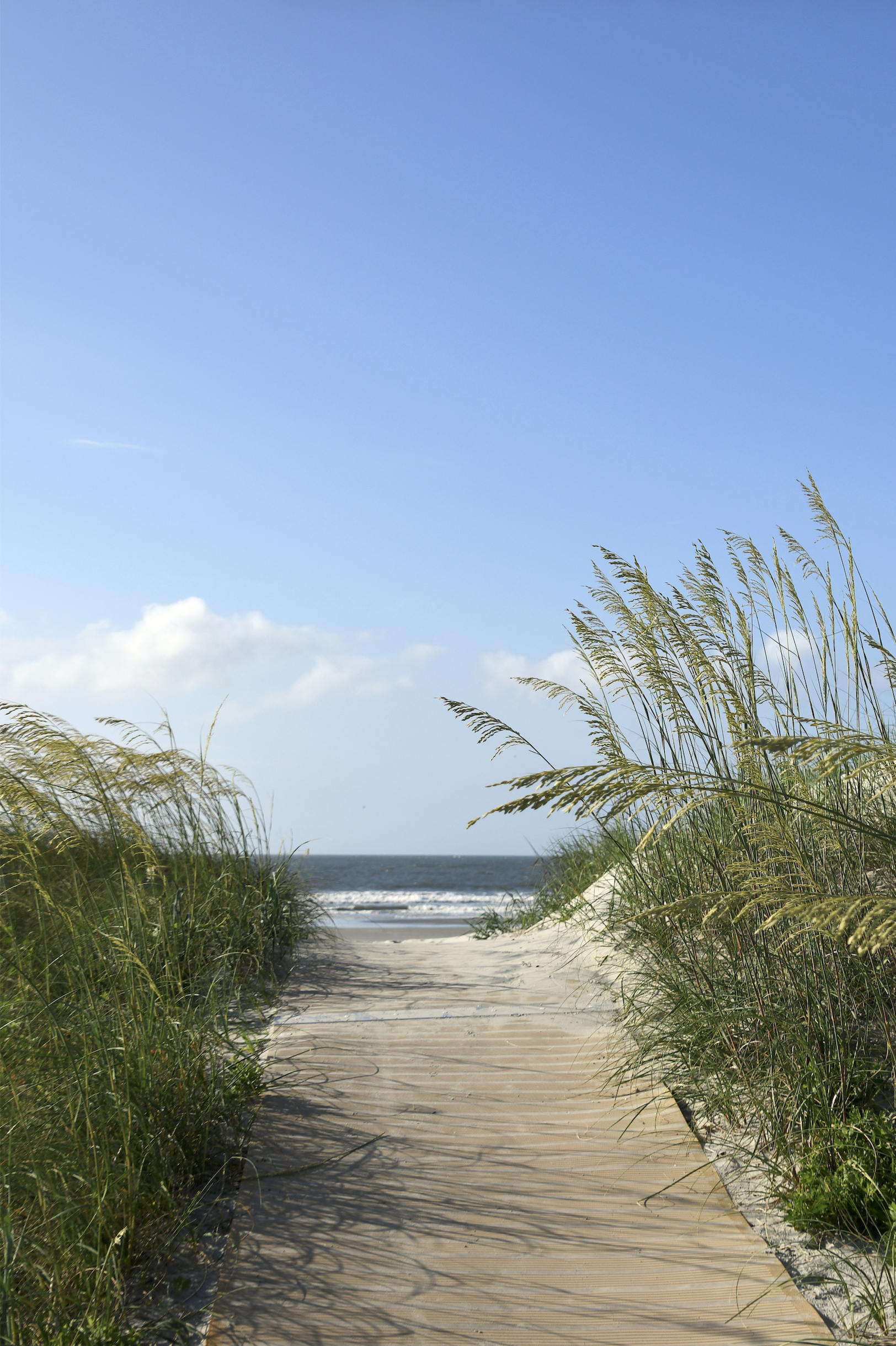 Screenshot 2026-03-10 at 6.36.22 PM.png