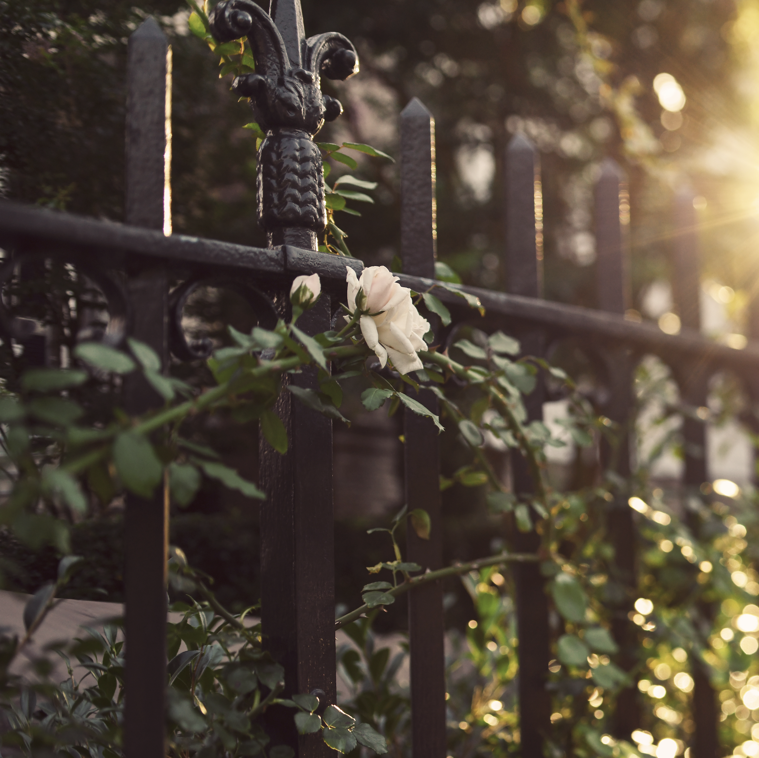 Screenshot 2026-03-10 at 6.42.47 PM.png