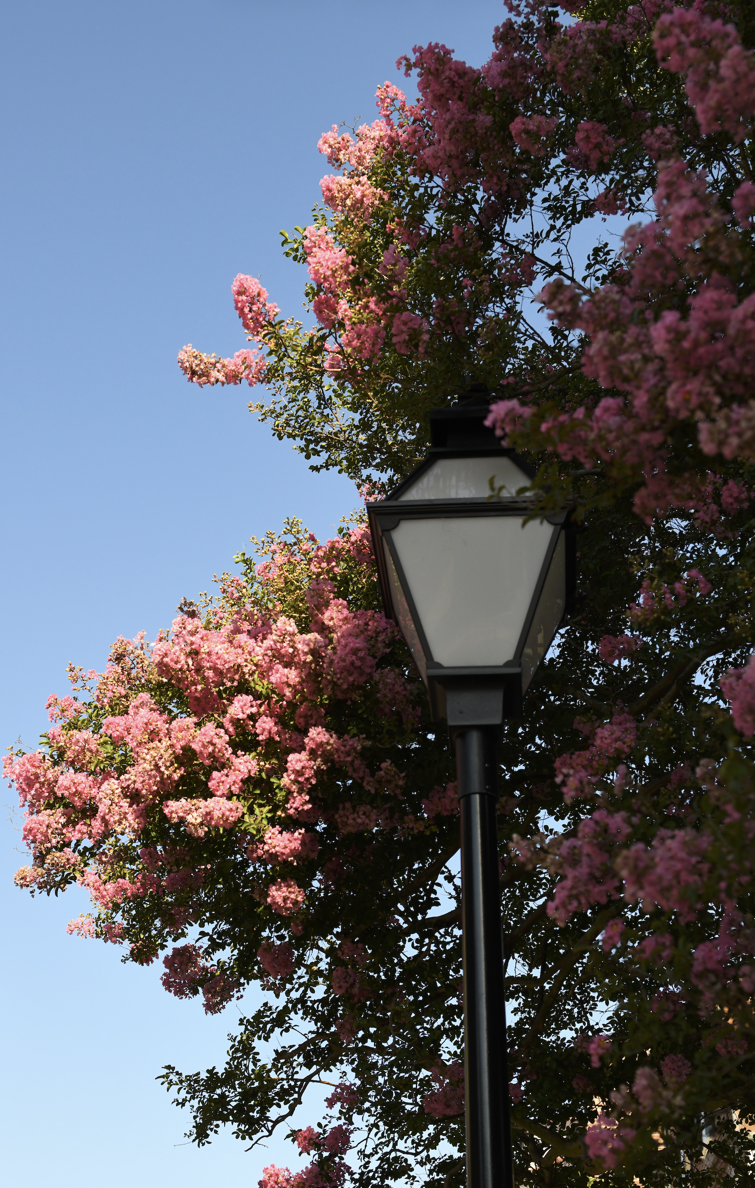 Screenshot 2026-03-10 at 6.46.47 PM.png