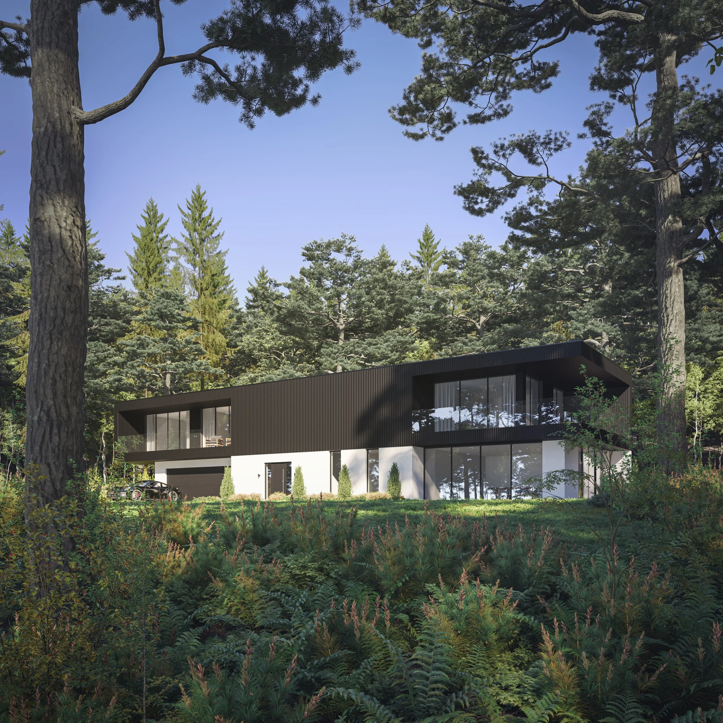 Modern house with black exterior and large glass windows surrounded by tall trees and lush green plants under a clear blue sky.
