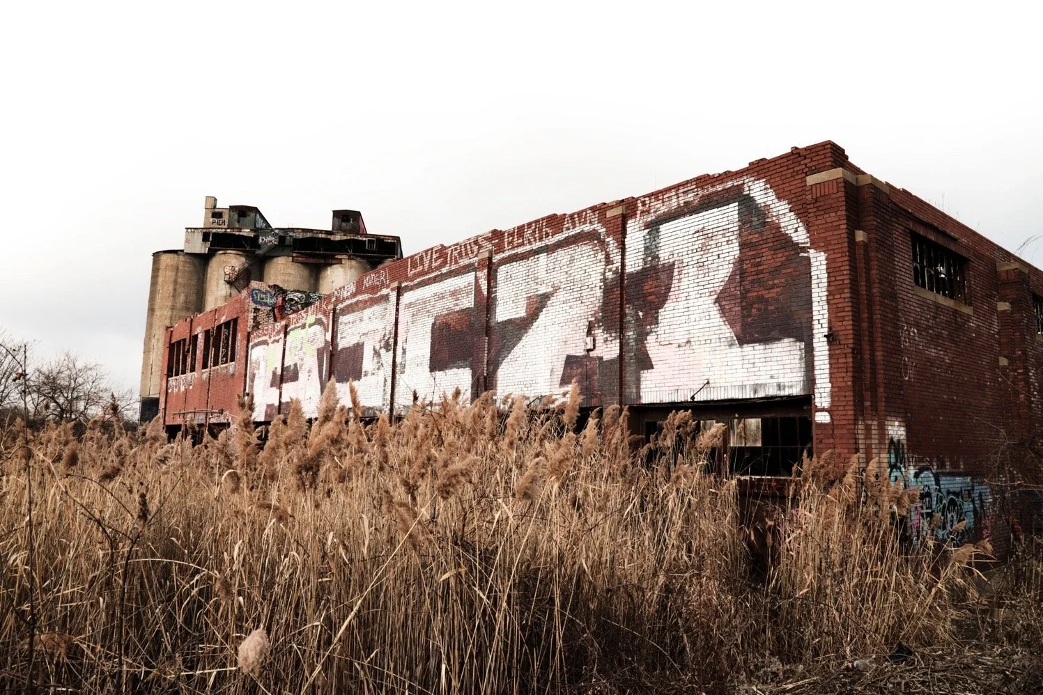 Image 8-7-19 at 9.28 PM.JPG