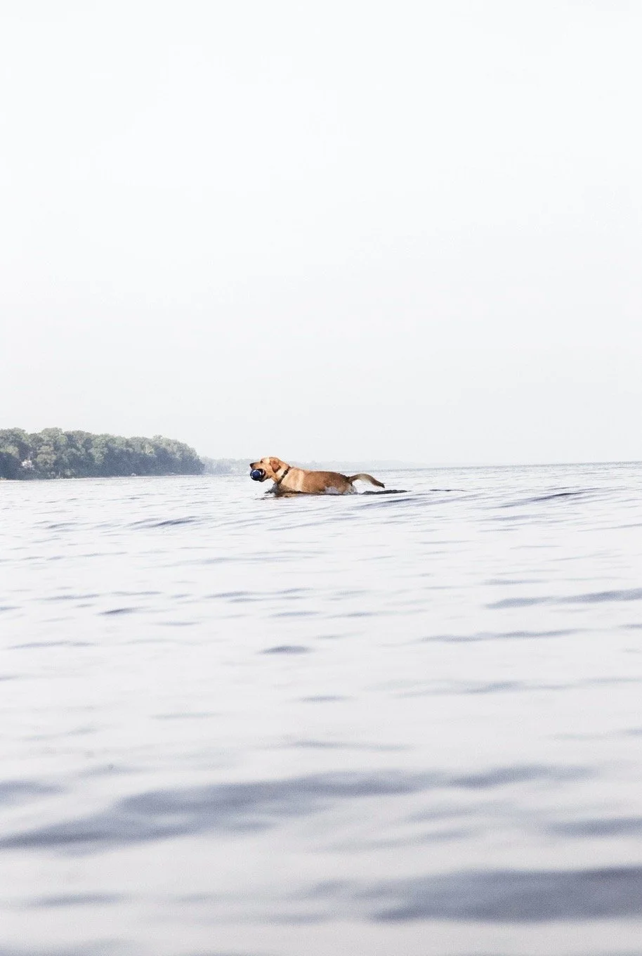 Image 6-23-20 at 3.53 PM.JPG