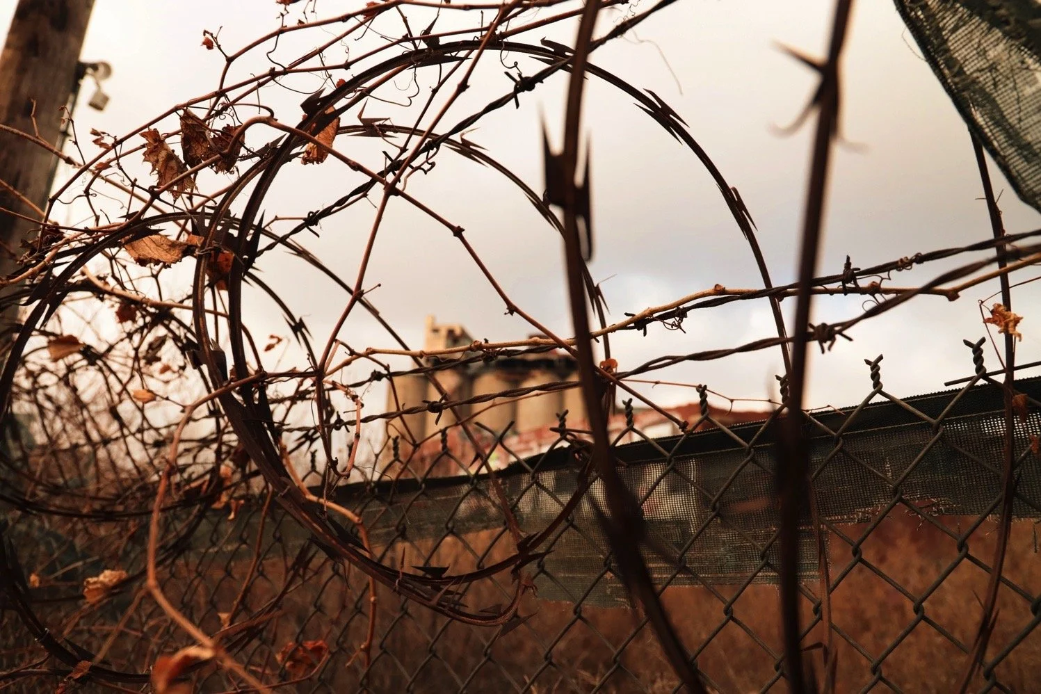 Image 3-30-19 at 5.52 PM (1).JPG