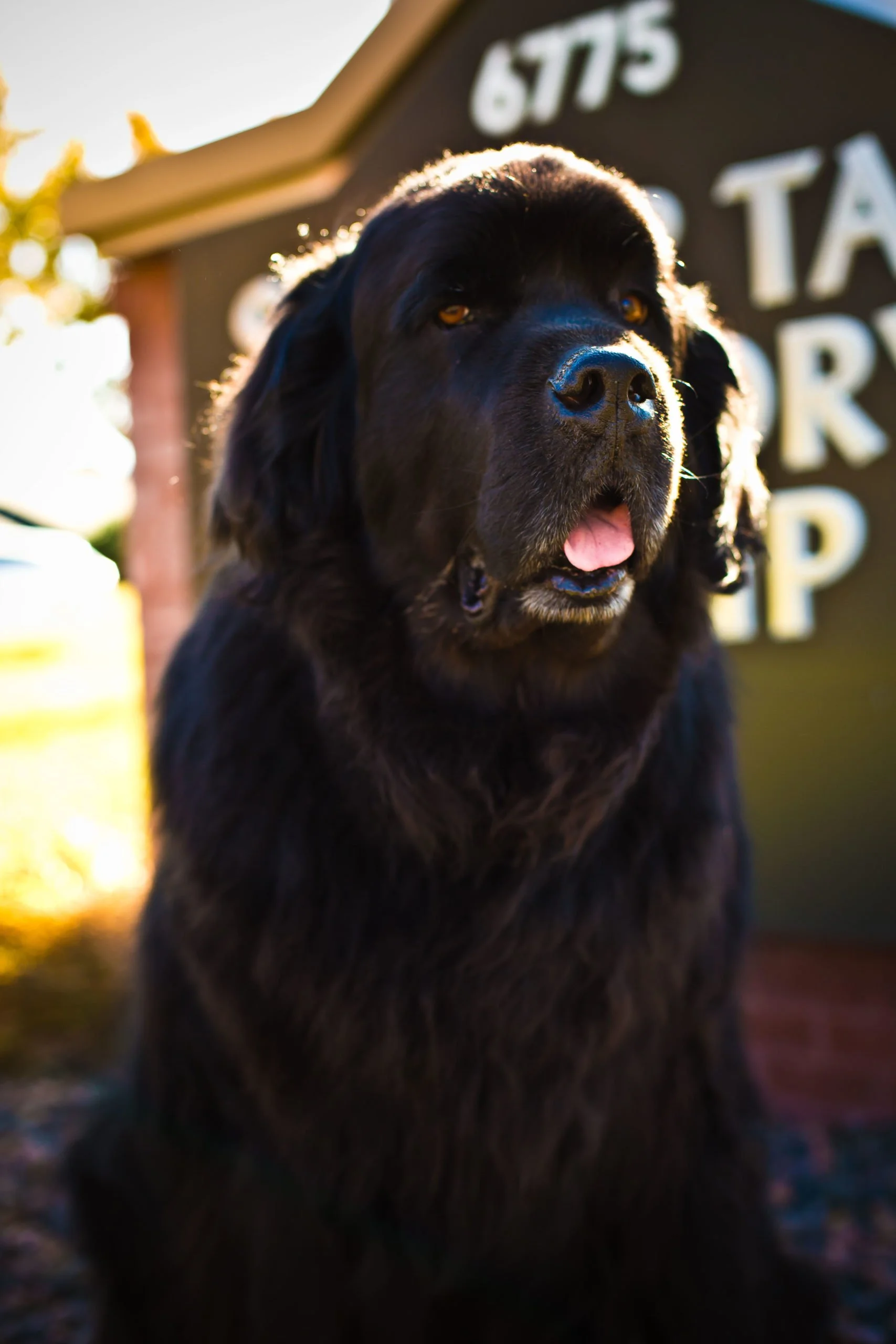Meet the Team — Senior Tax Advisory Group Colorado Springs, CO
