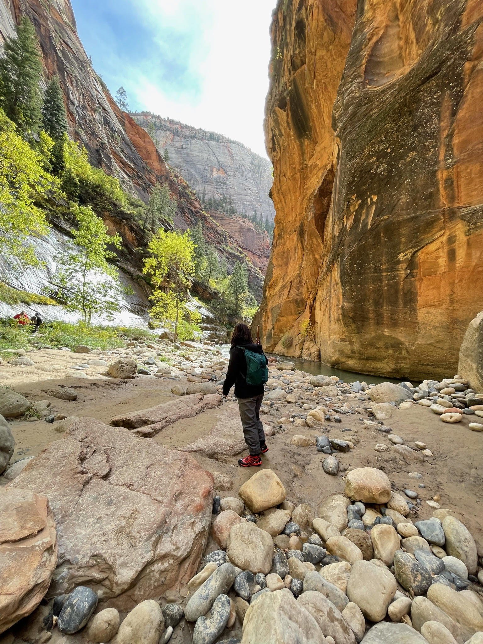 I love vacationing at National Parks and hope to visit all of them in my life. (Photo: Zion National Park, Utah)