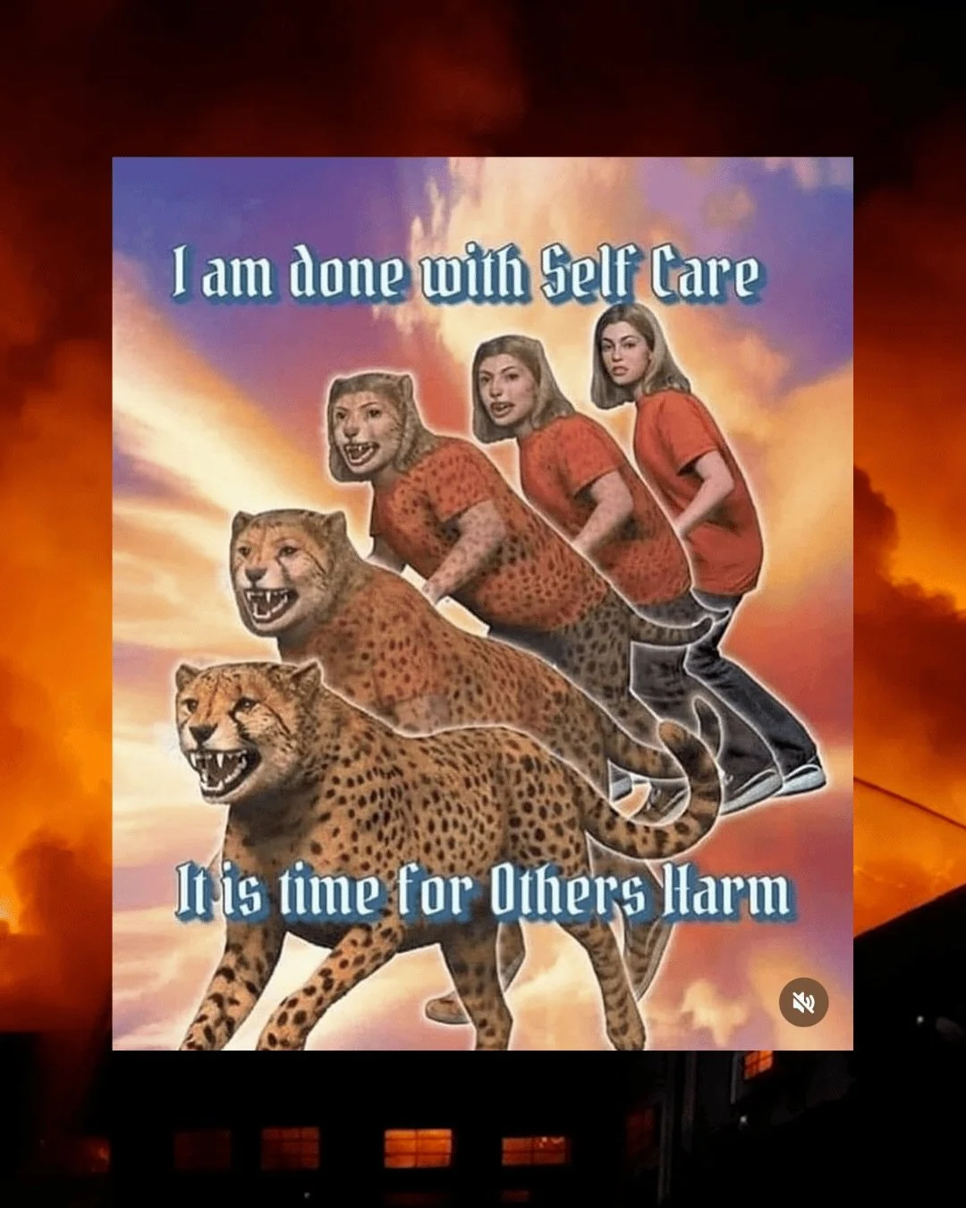 Baring my fangs in meme form 😌 Btw 2 days left to register for cohort 6 of Braiding Grief: Fire Horse Edition! 

Come channel your rage into power, purpose and life force energy for liberation instead of lashing out at strangers / bots online!! Come
