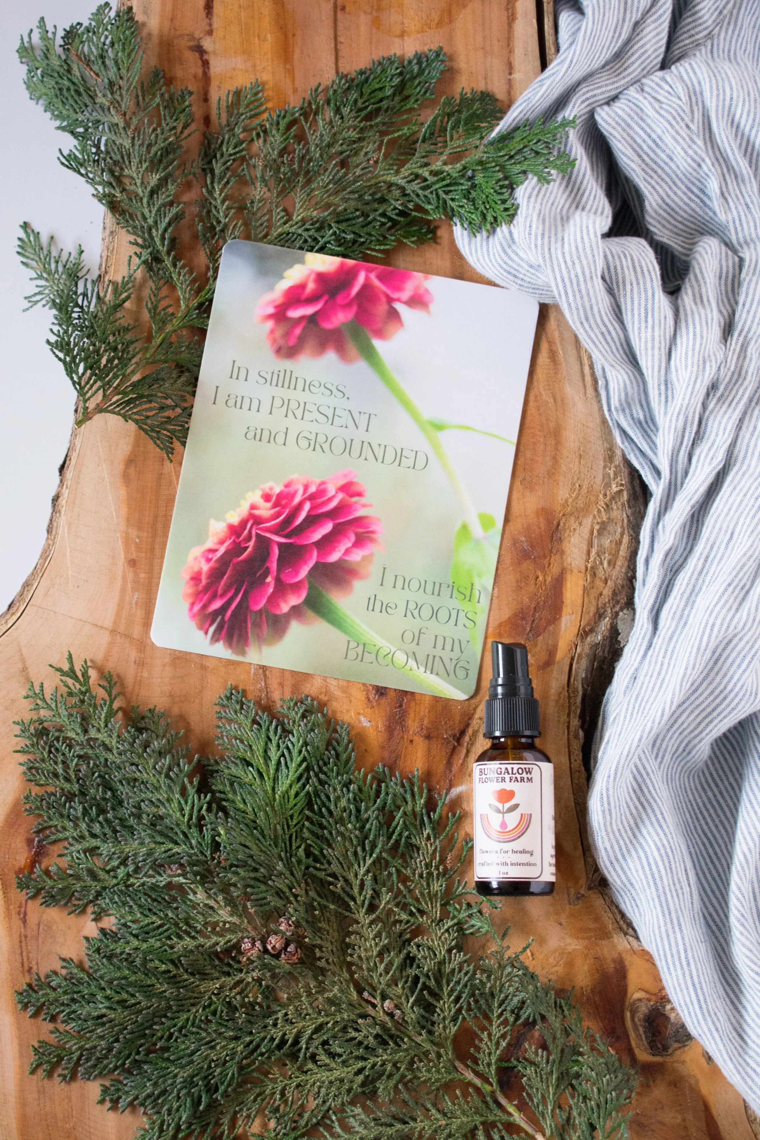 20251120-Gift Set-003.jpg