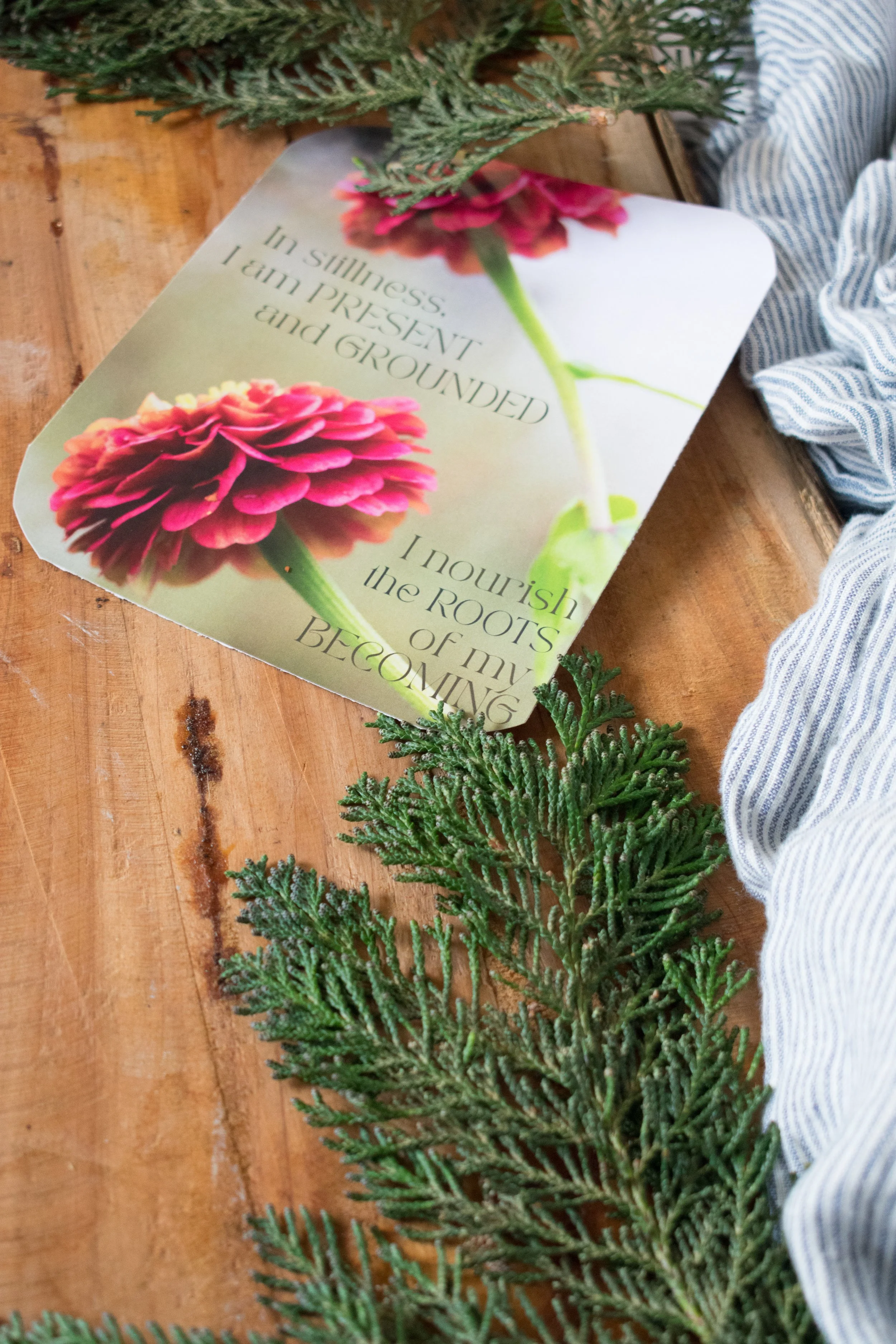 20251117-Gift Set-003-3.jpg