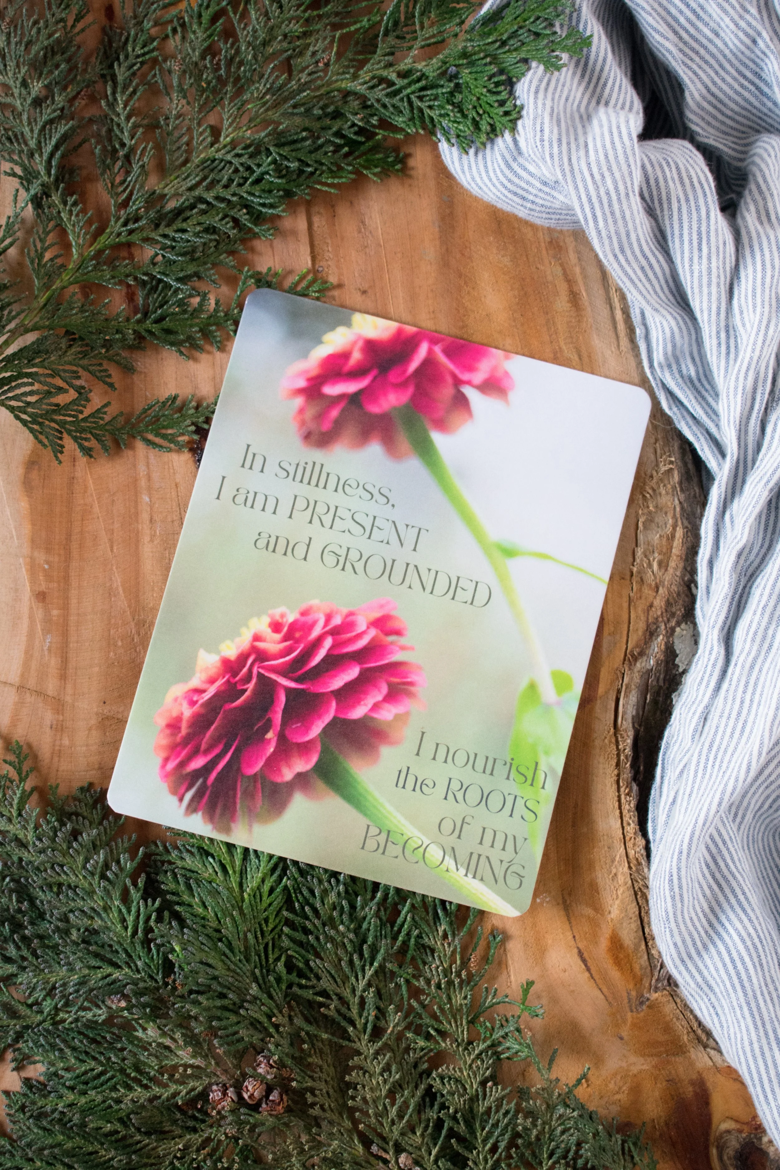 20251120-Gift Set-005.jpg